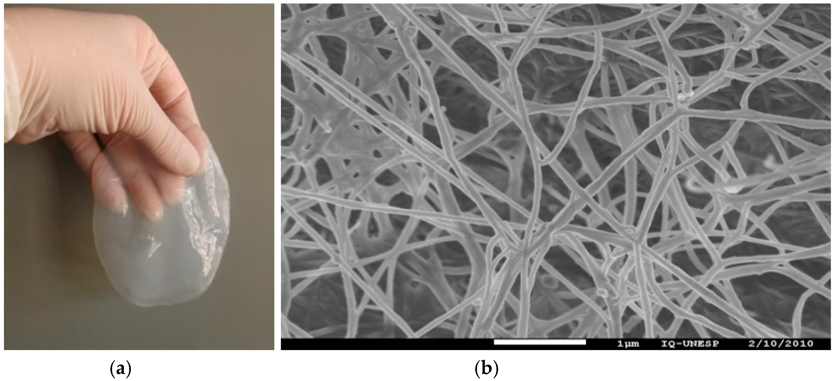 Molecules 26 00049 g002