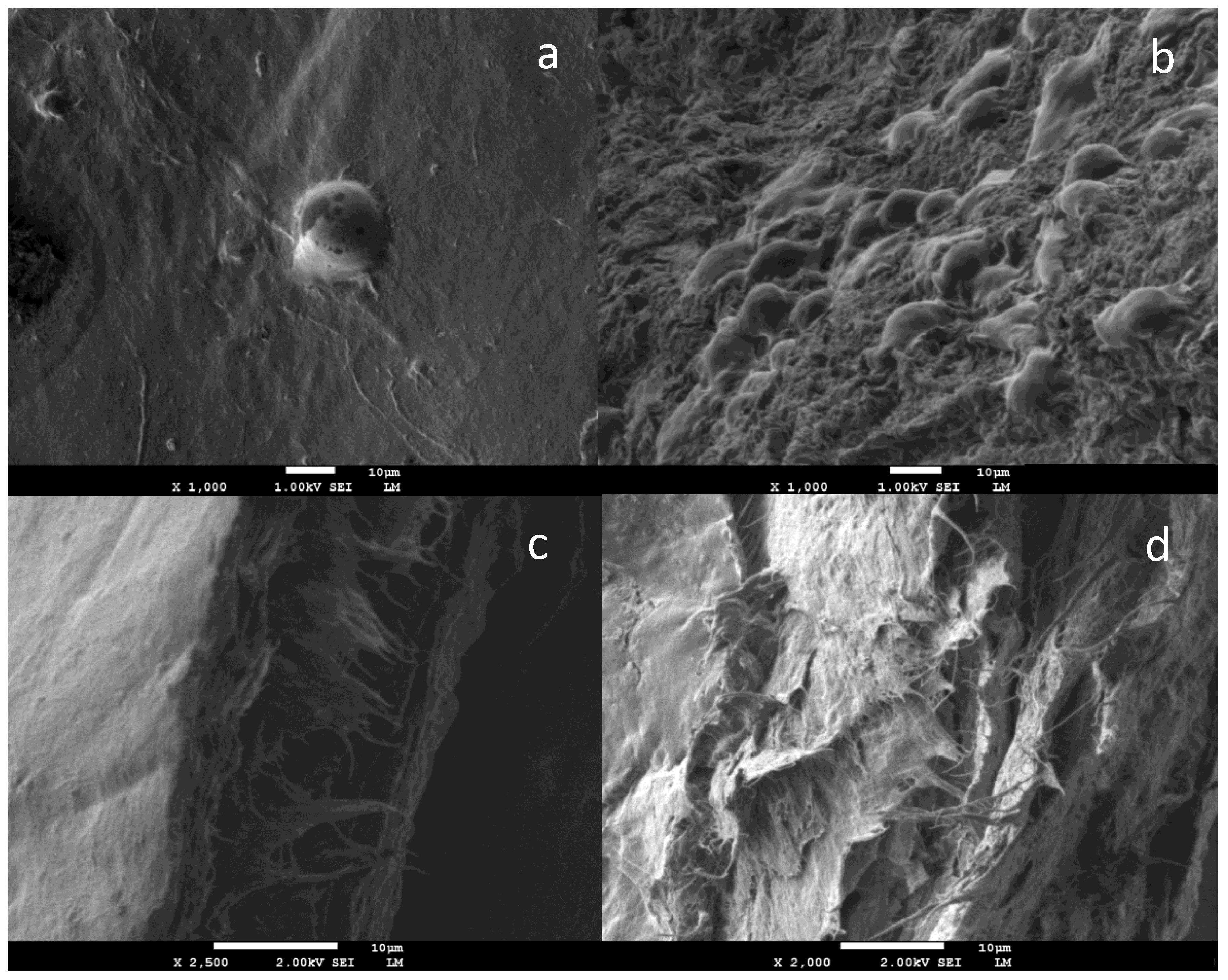 Molecules 26 00049 g003