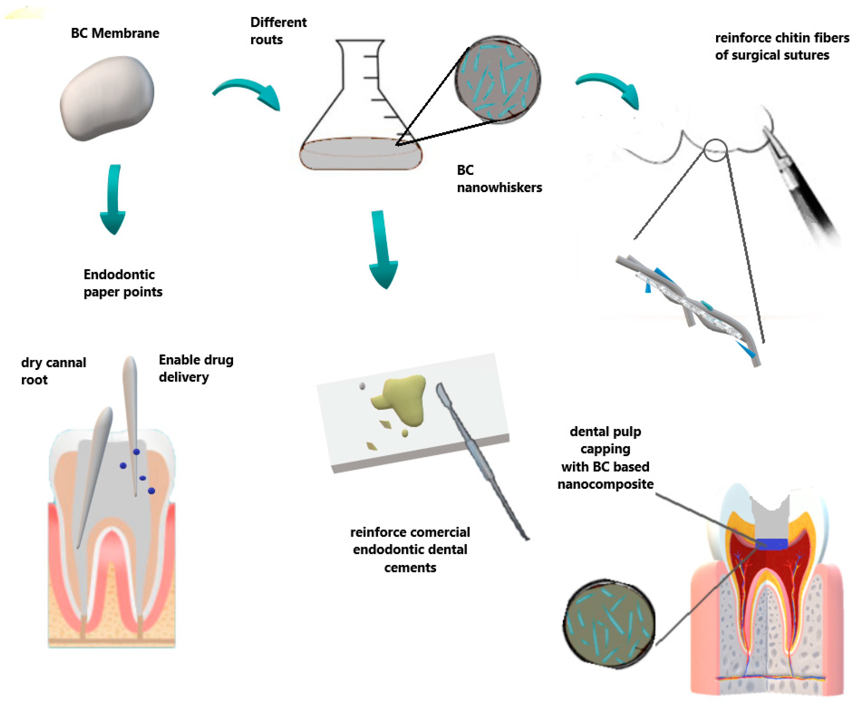 Molecules 26 00049 g006