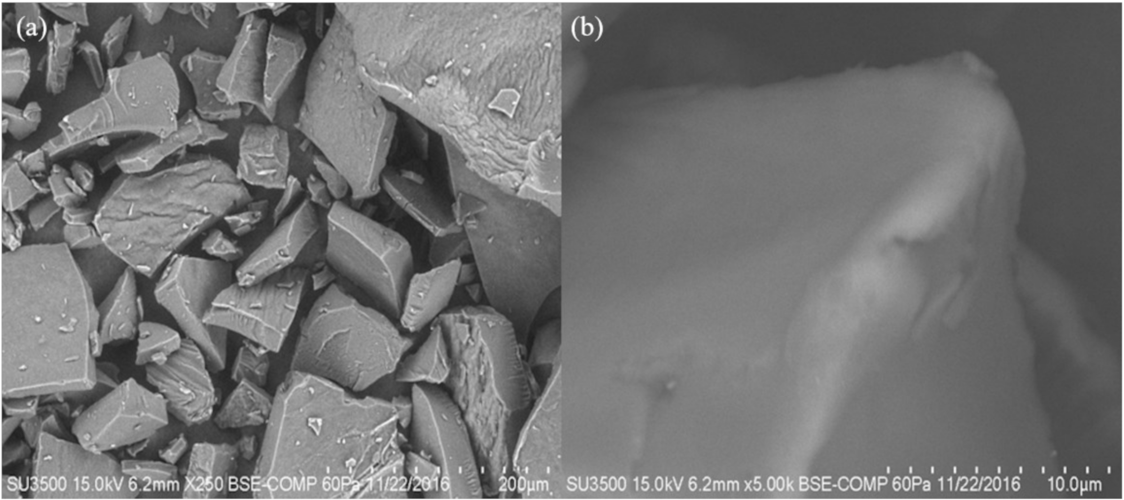 Molecules 26 00054 g010 Molecules 26 00054 g010
