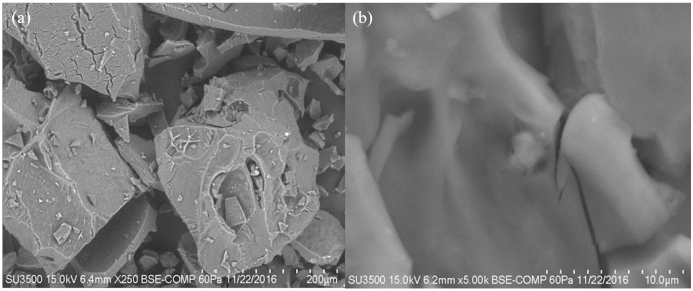 Molecules 26 00054 g011 Molecules 26 00054 g011