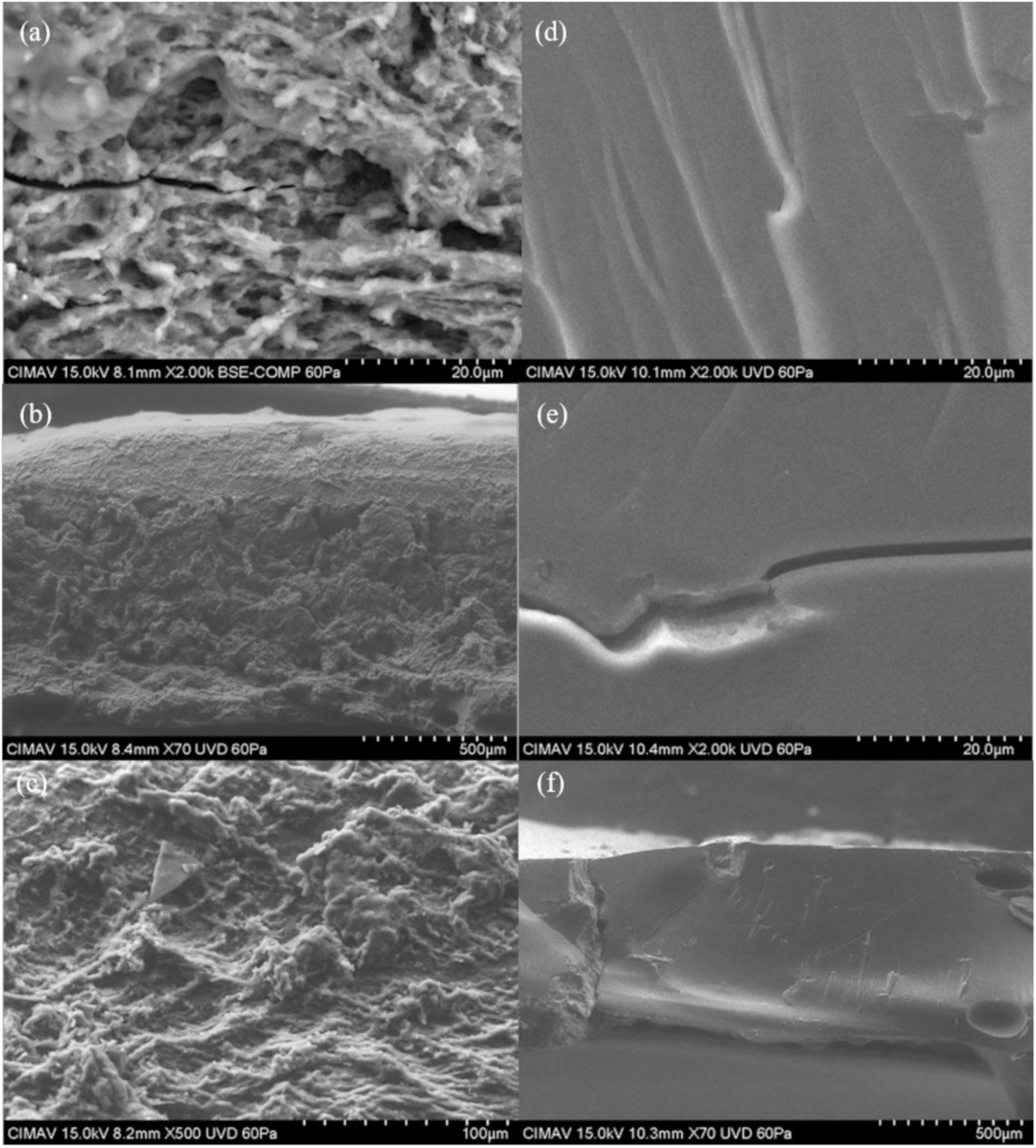 Molecules 26 00054 g012 Molecules 26 00054 g012