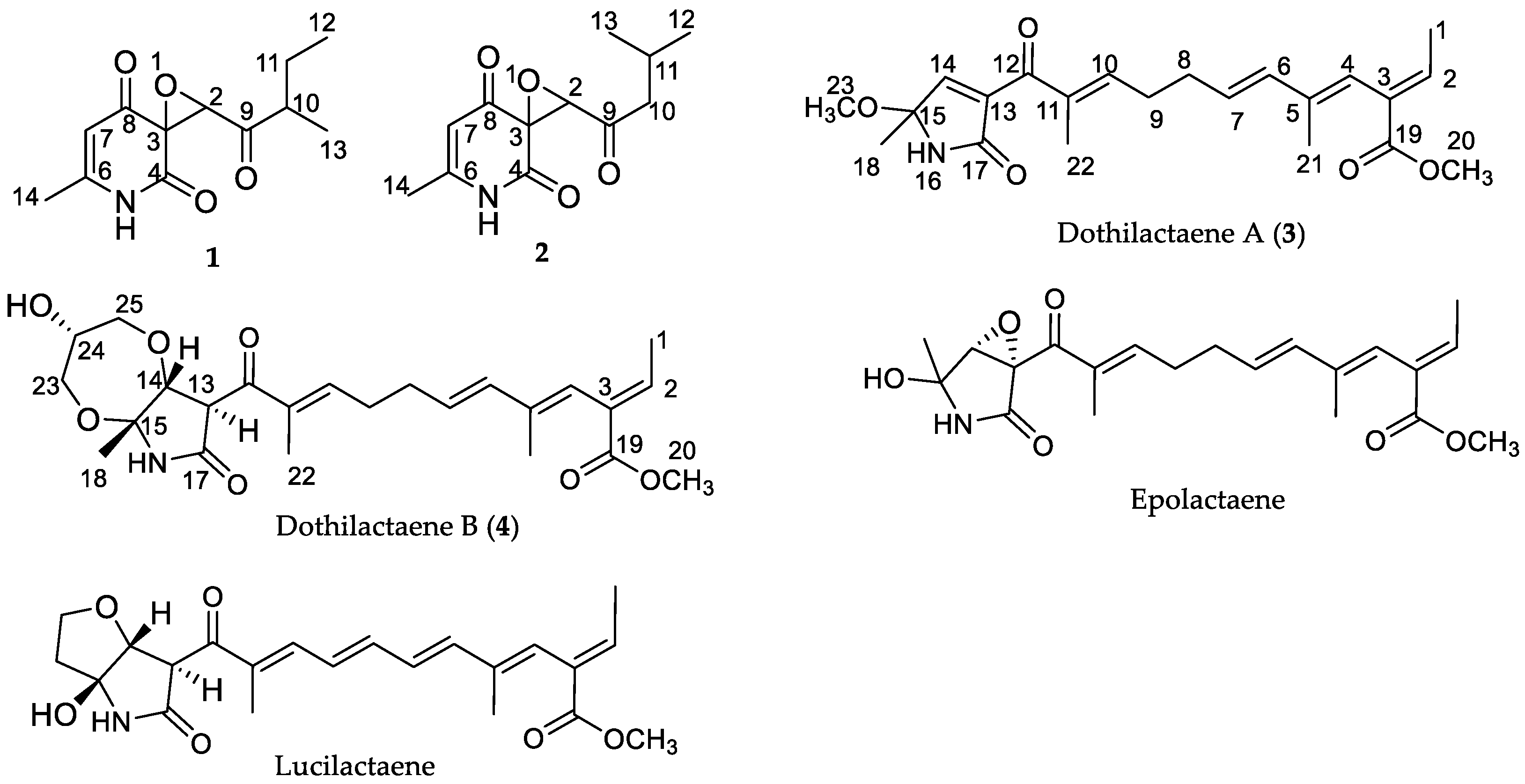 Molecules 26 00059 g001 Molecules 26 00059 g001