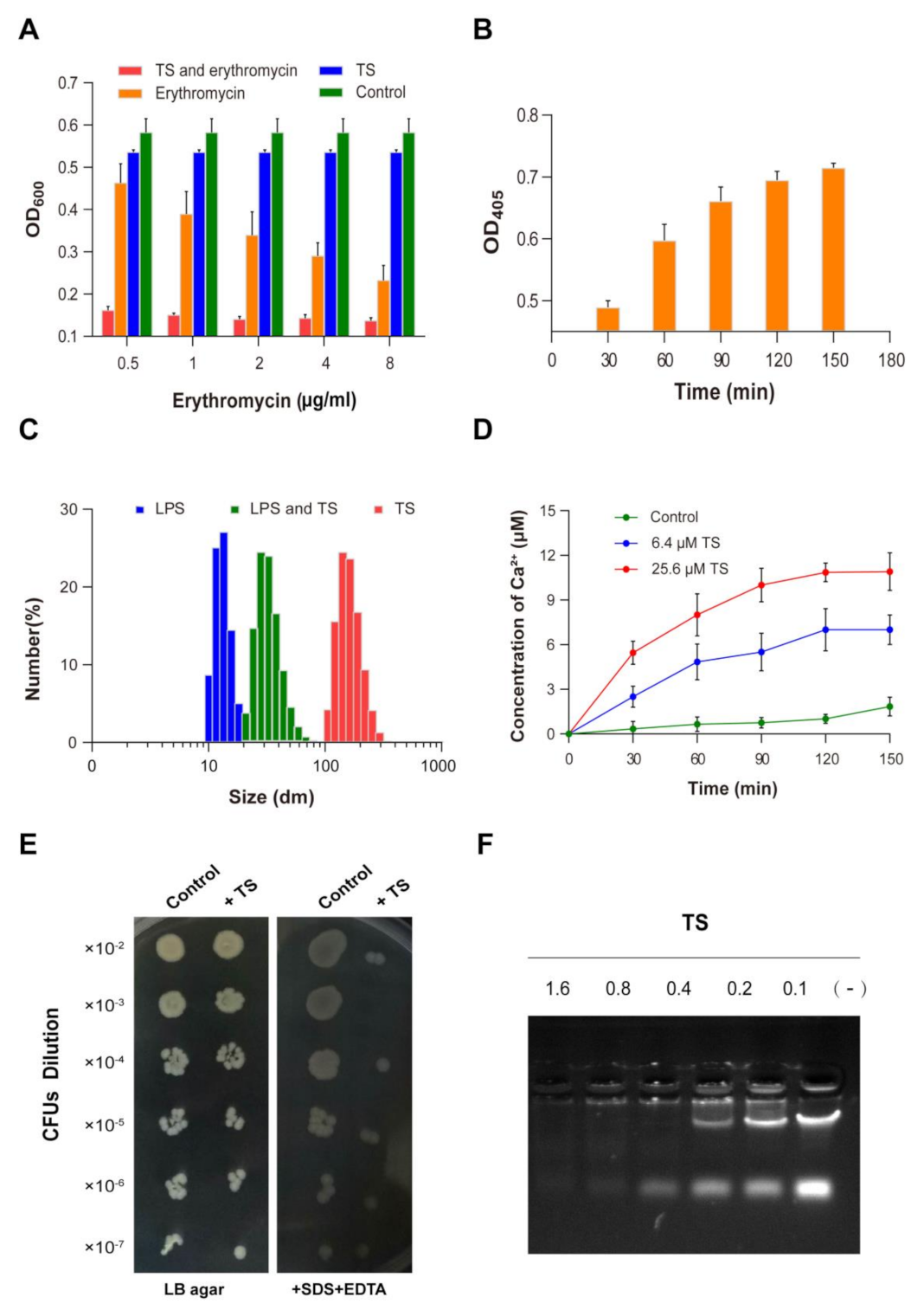 Molecules 26 00060 g005