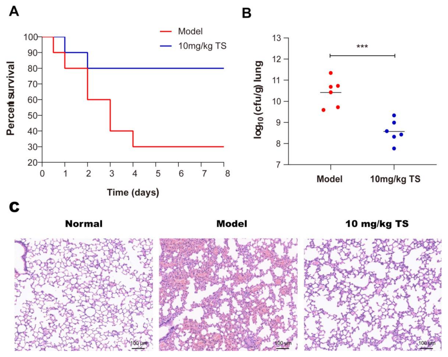 Molecules 26 00060 g006