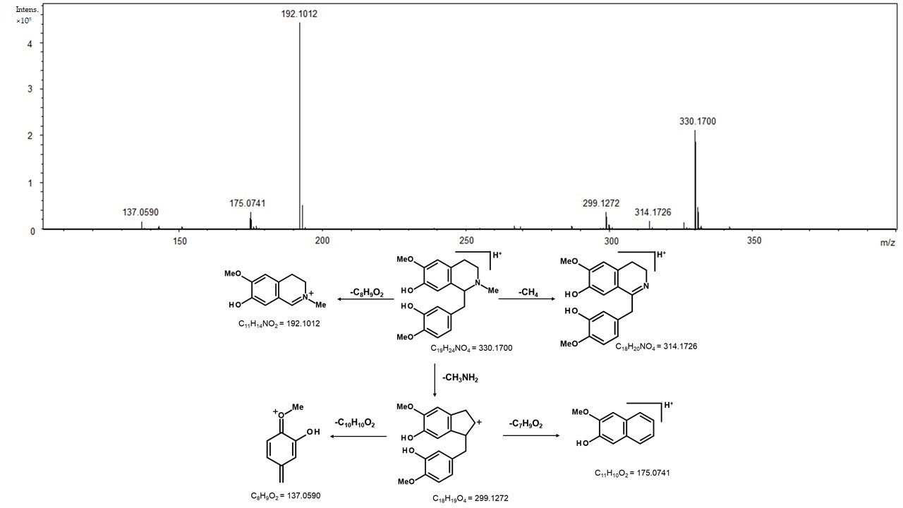 Molecules 26 00069 g004