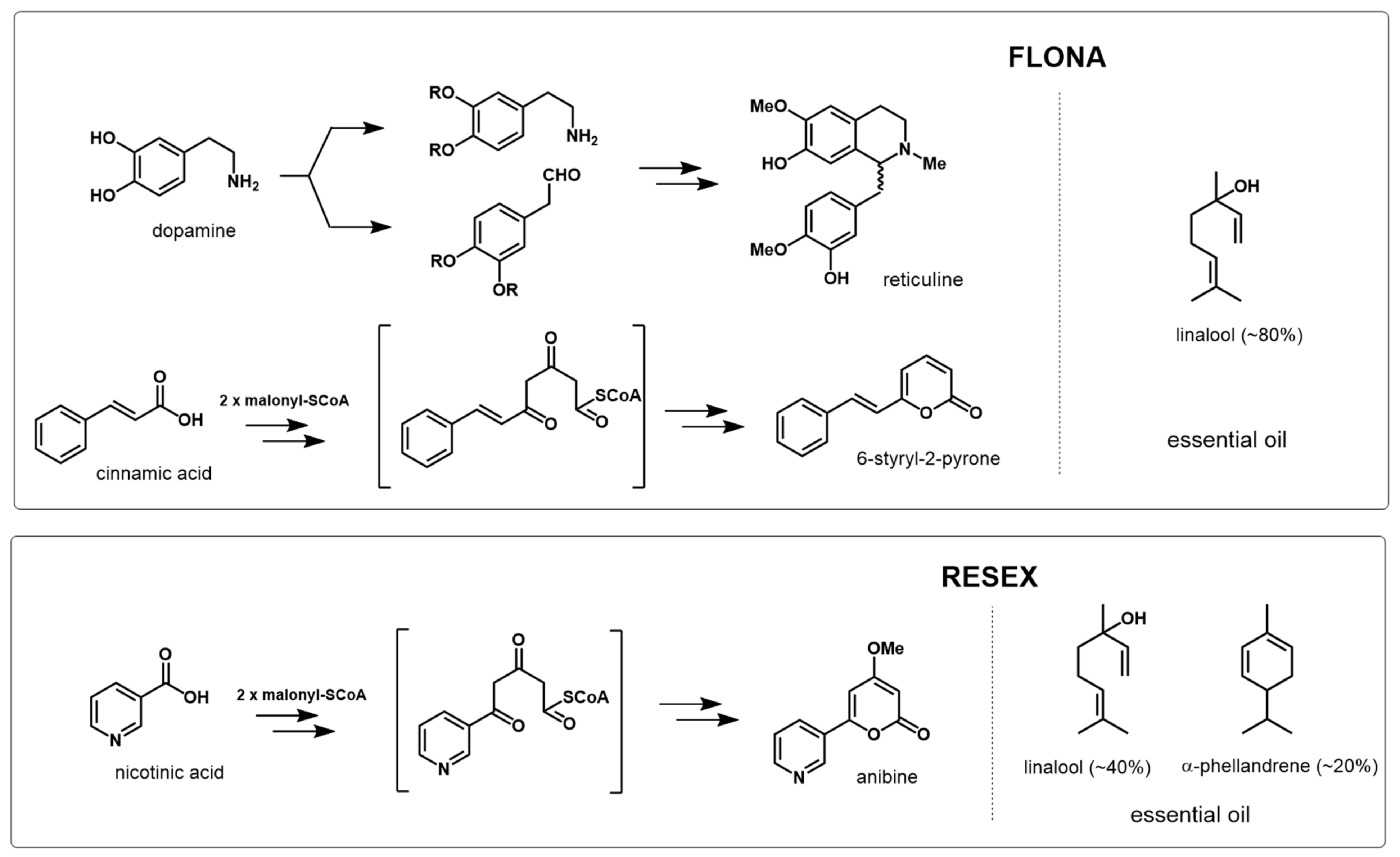 Molecules 26 00069 g007