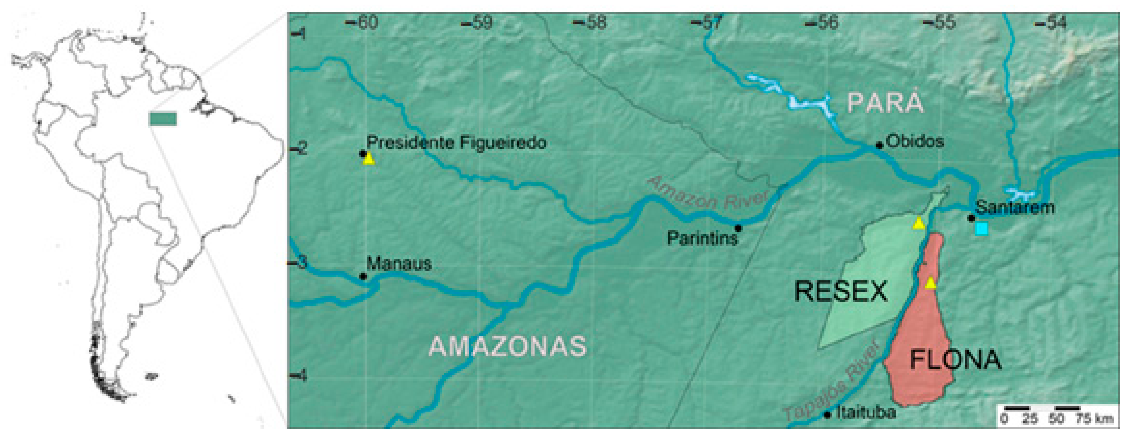 Molecules 26 00069 g008