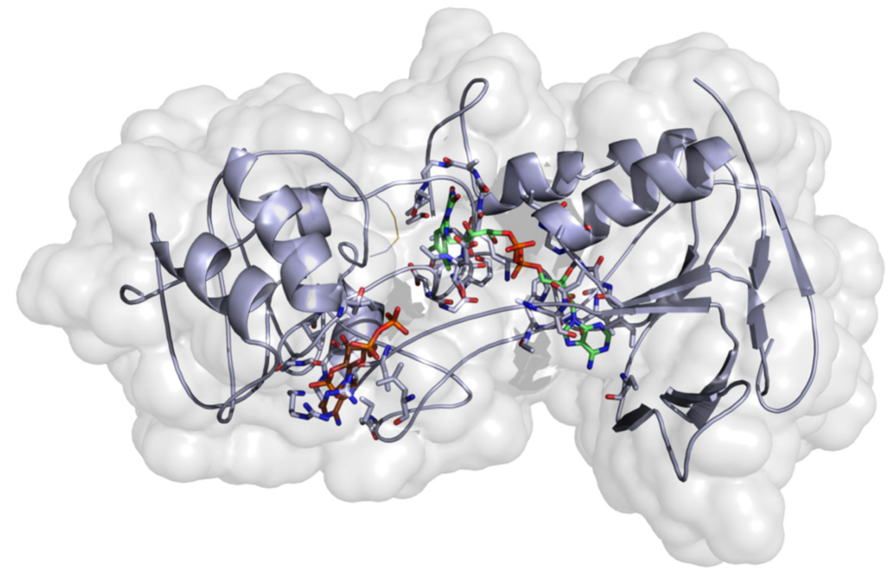 Molecules 26 00070 g003 Molecules 26 00070 g003