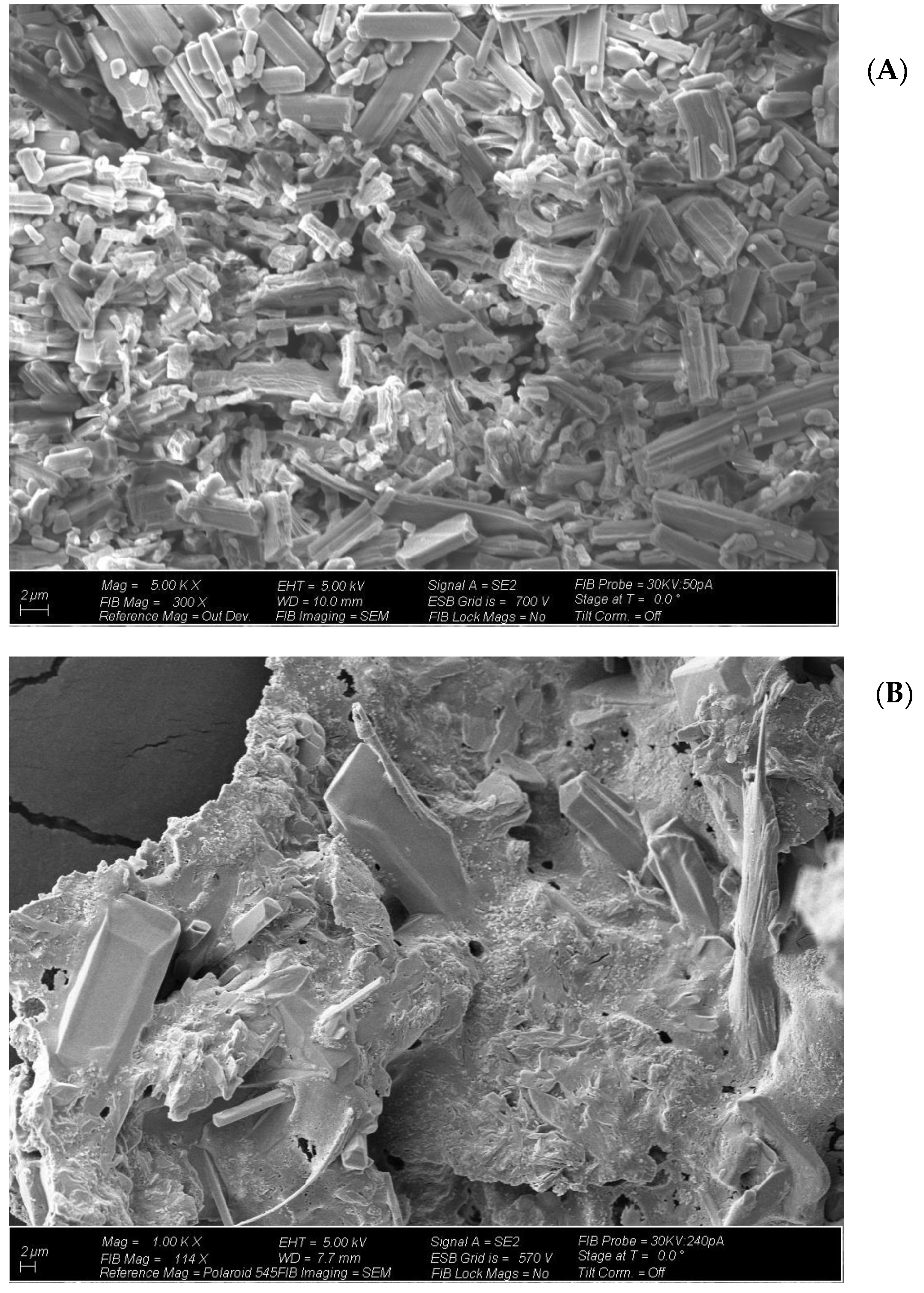 Molecules 26 00074 g005