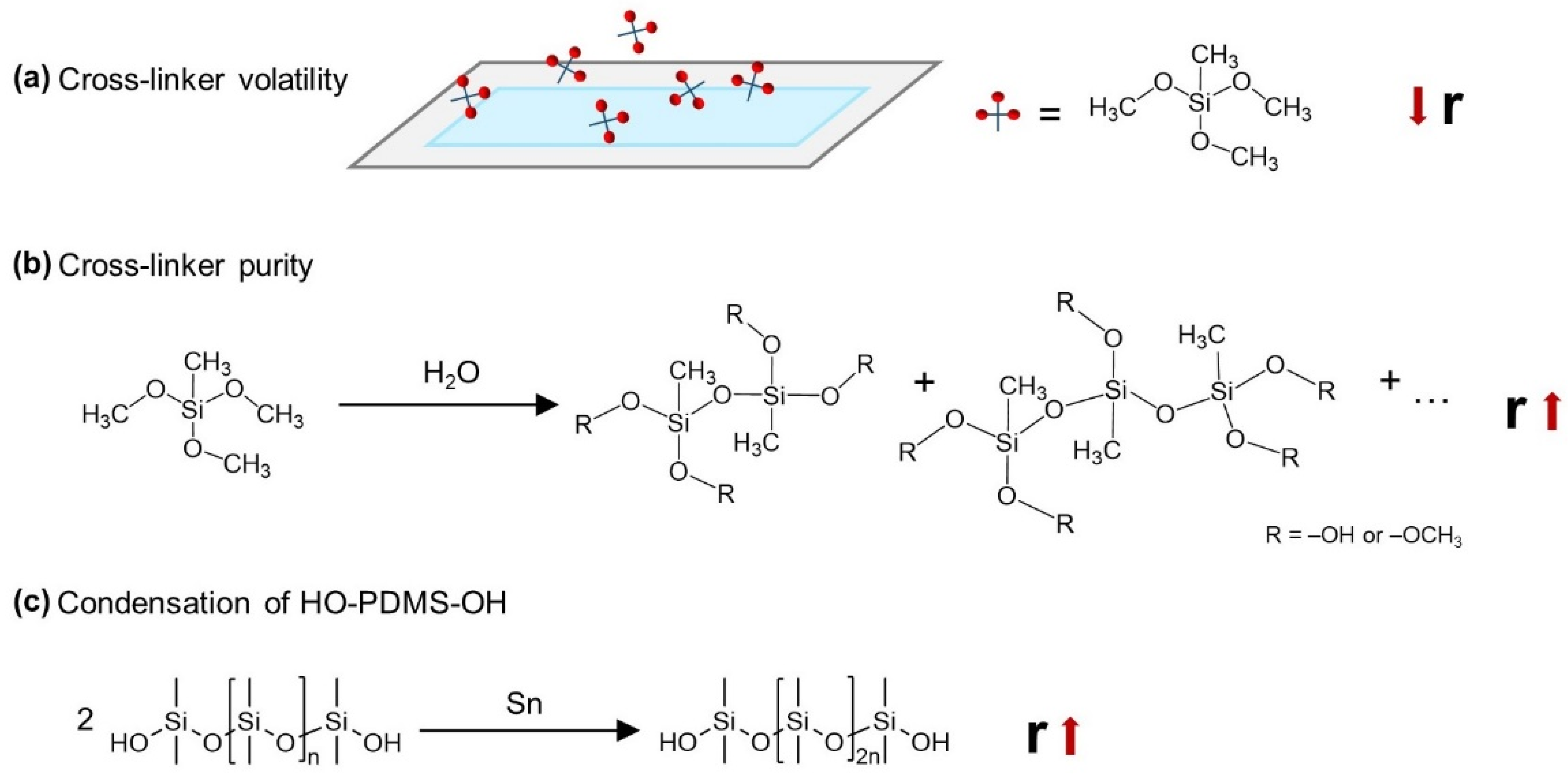 Molecules 26 00082 g001