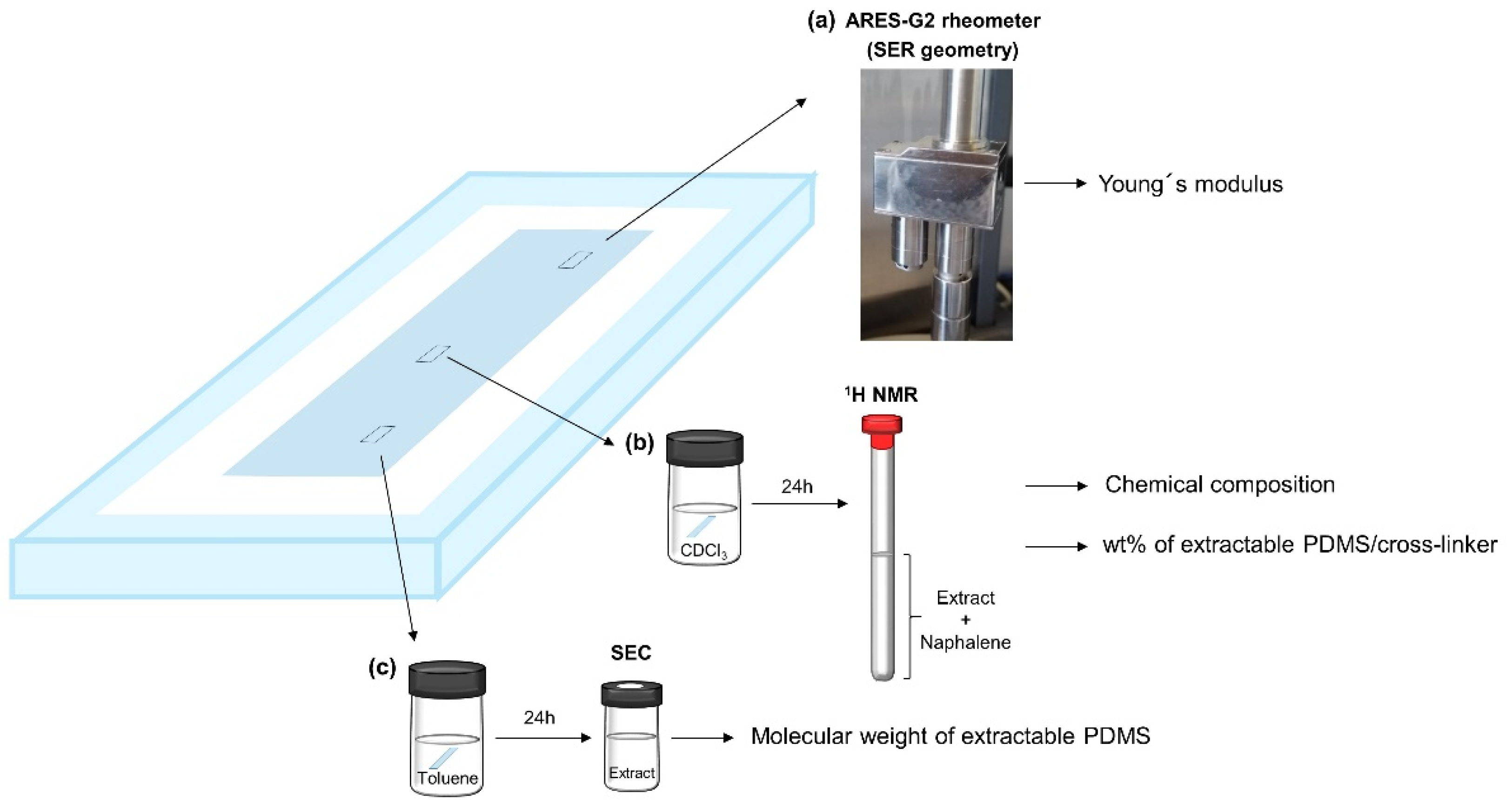 Molecules 26 00082 g014