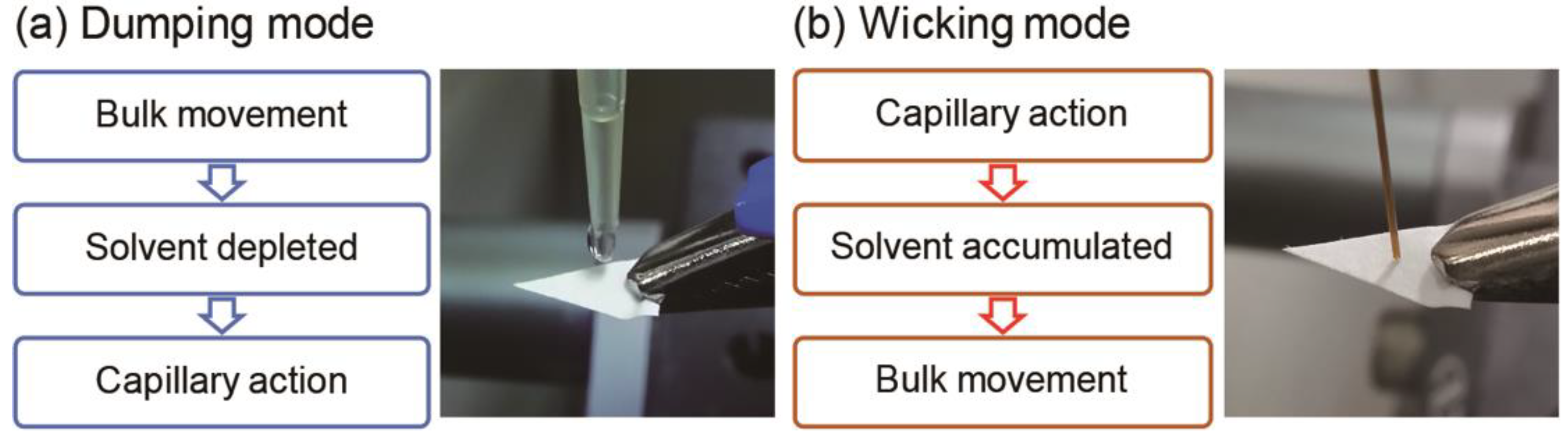 Molecules 26 00093 g003
