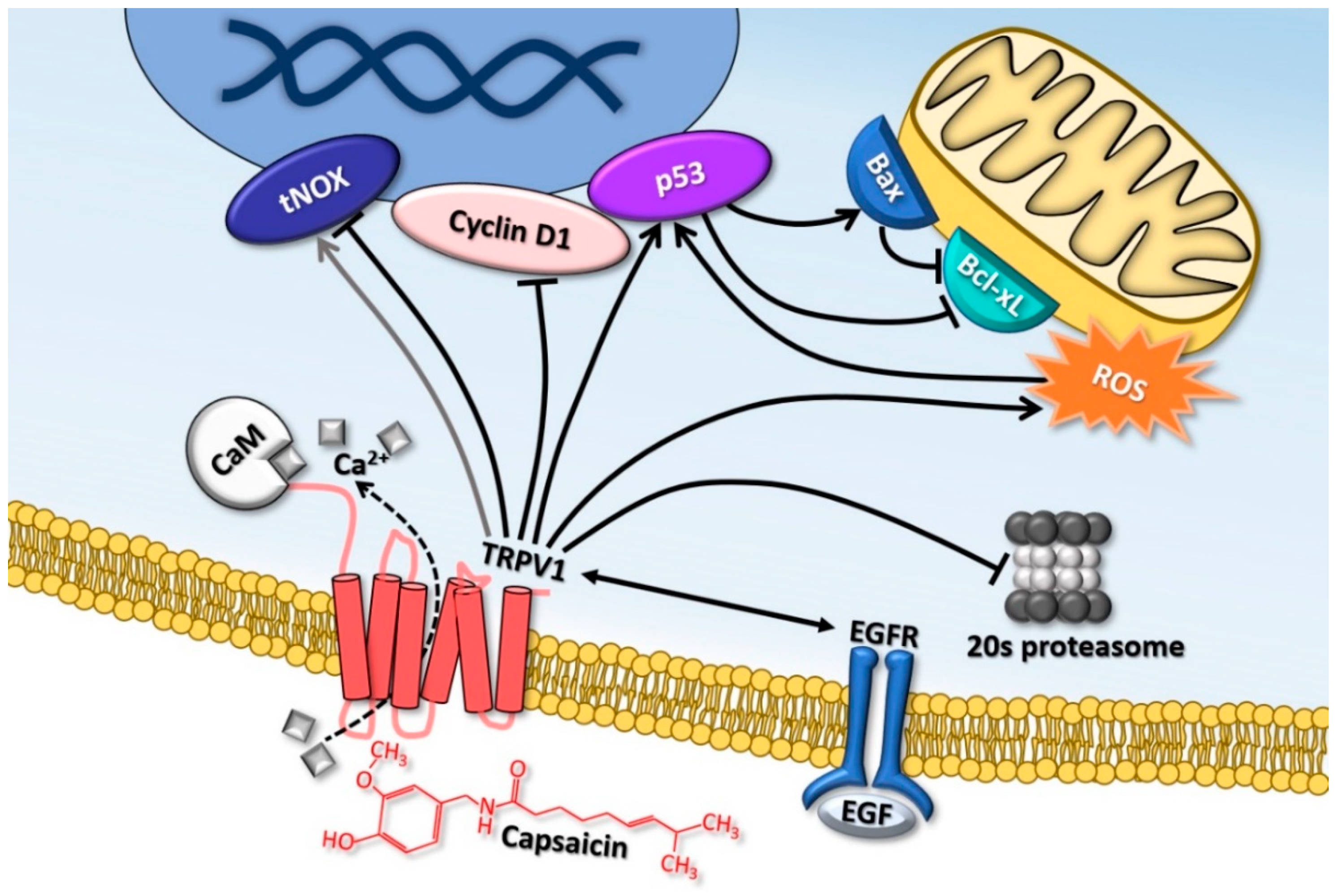 Molecules 26 00094 g001 Molecules 26 00094 g001