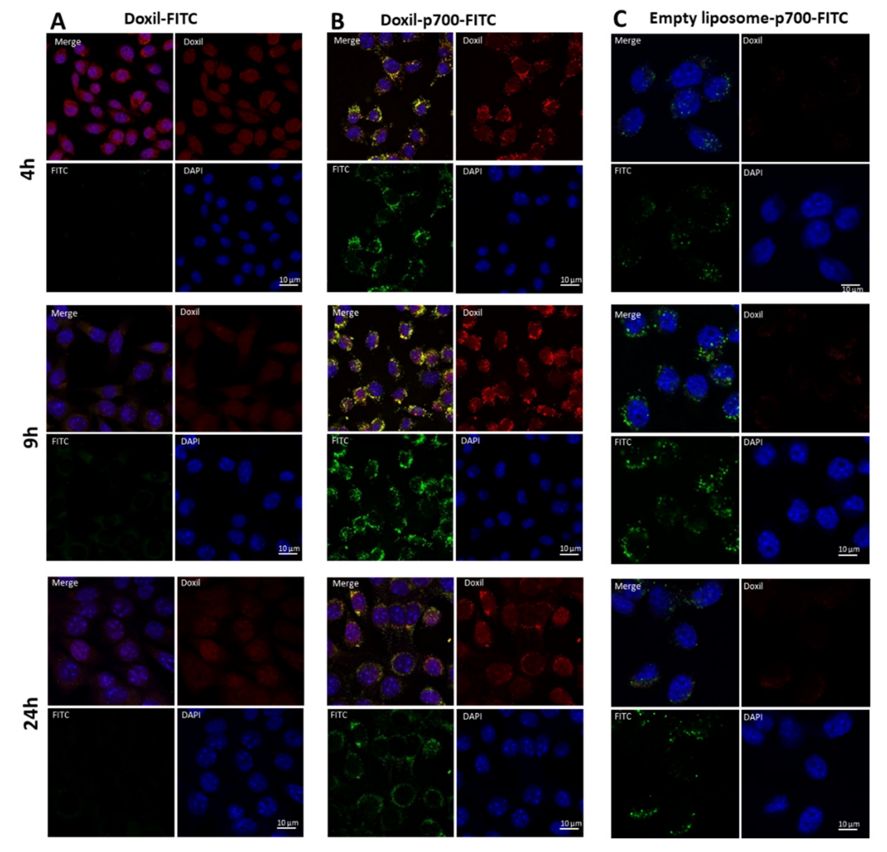 Molecules 26 00100 g003