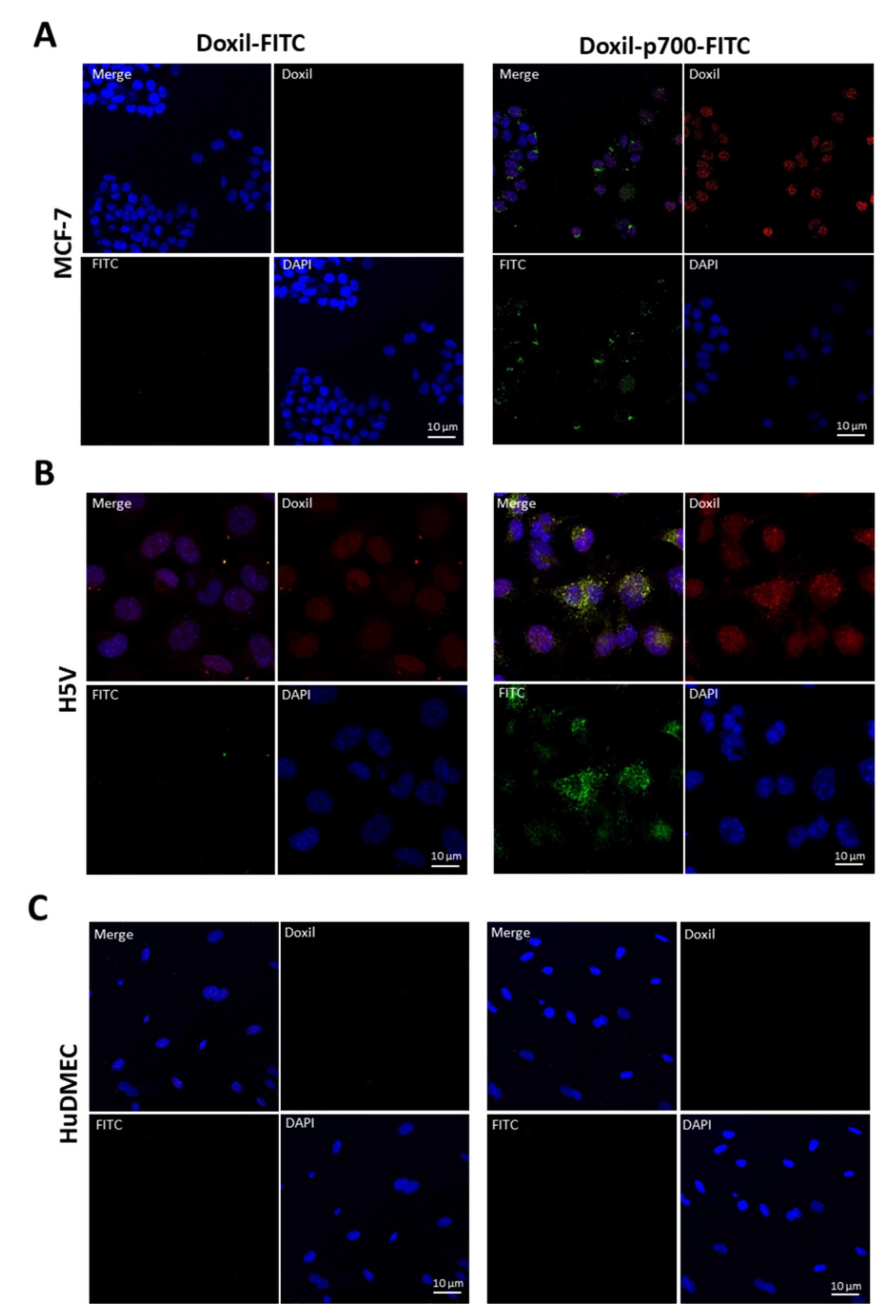 Molecules 26 00100 g004