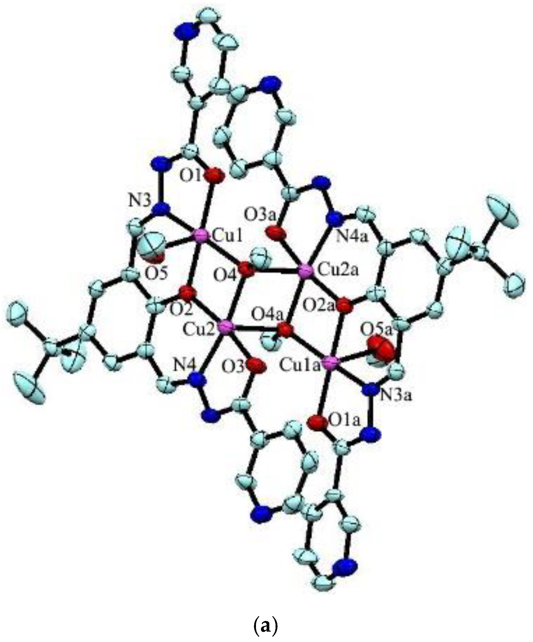 Molecules 26 00109 g001a Molecules 26 00109 g001a