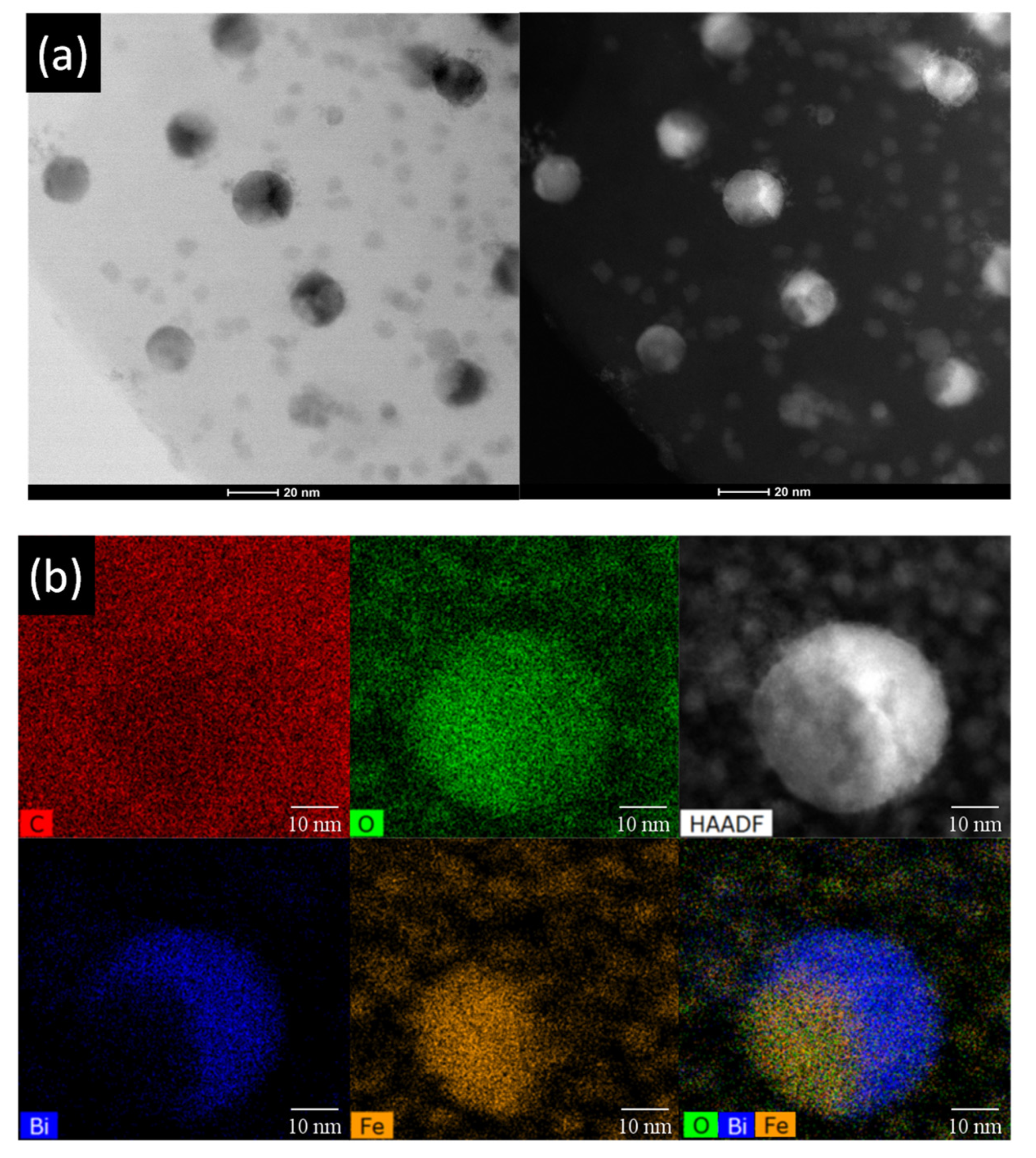 Molecules 26 00117 g003
