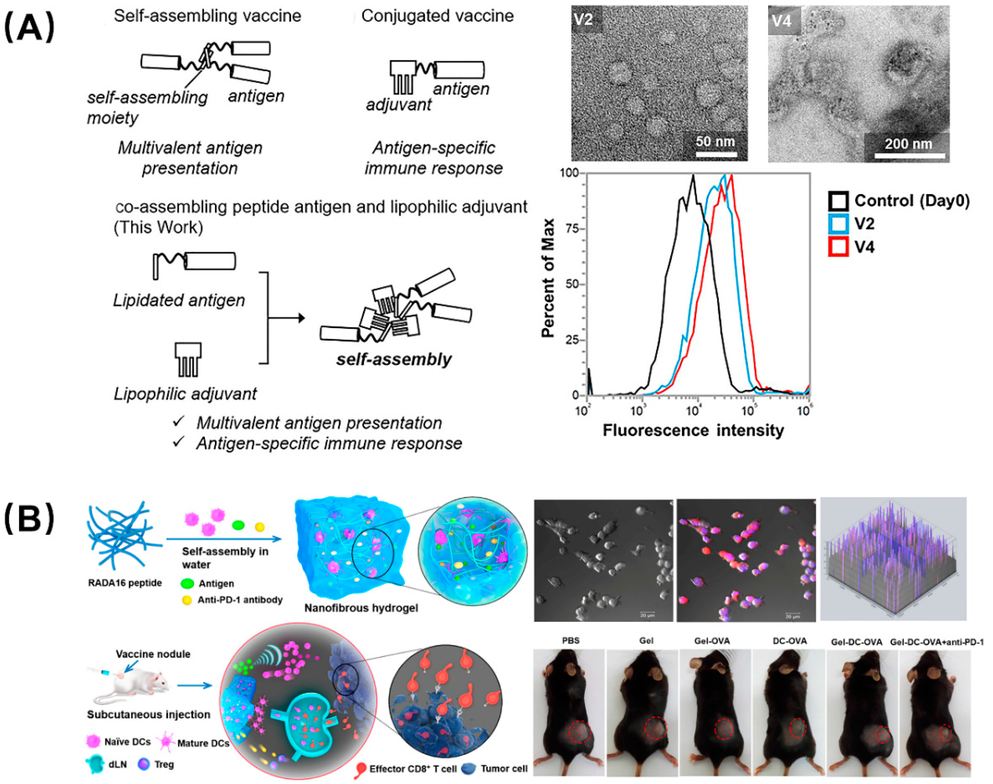 Molecules 26 00132 g005