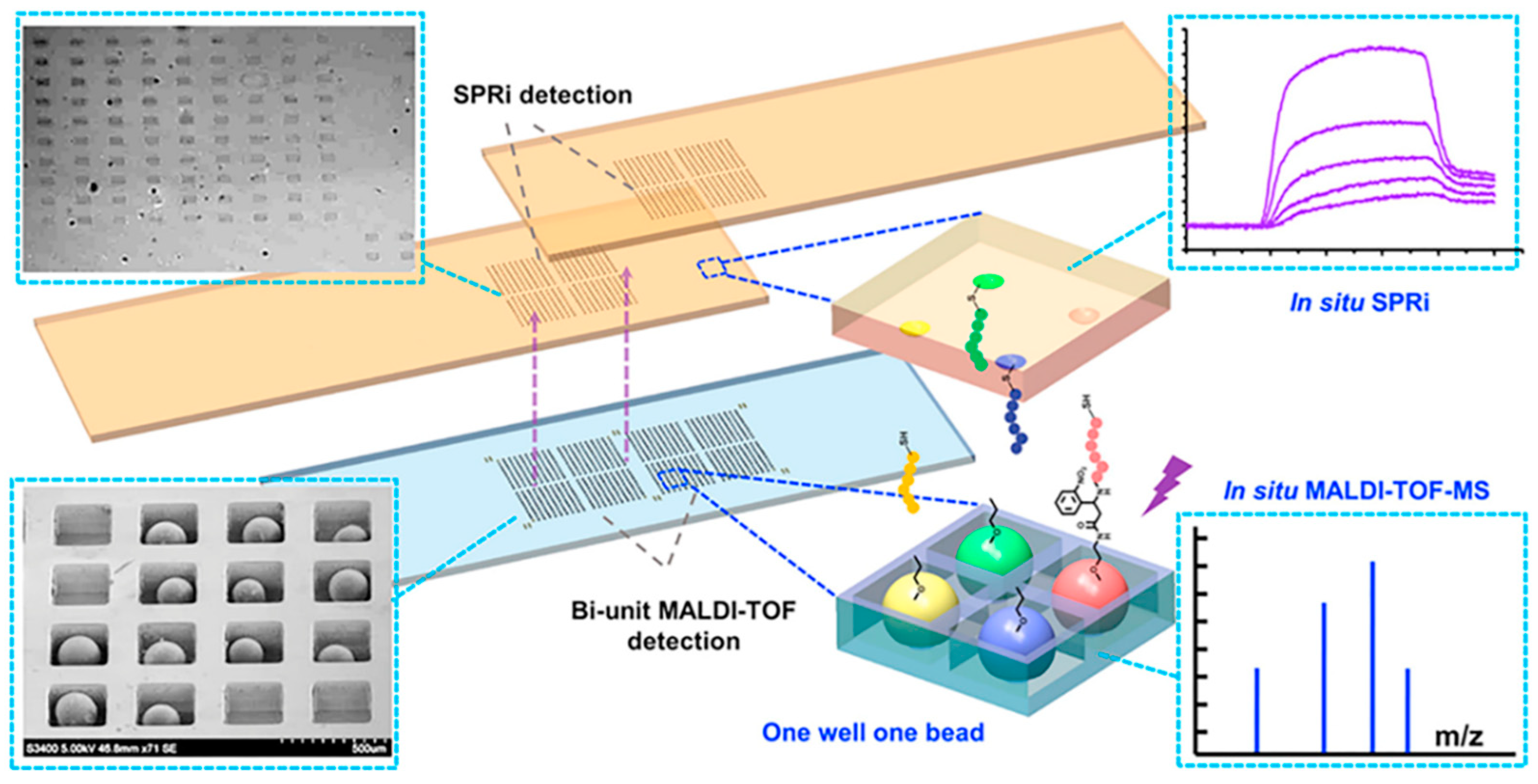 Molecules 26 00132 g007