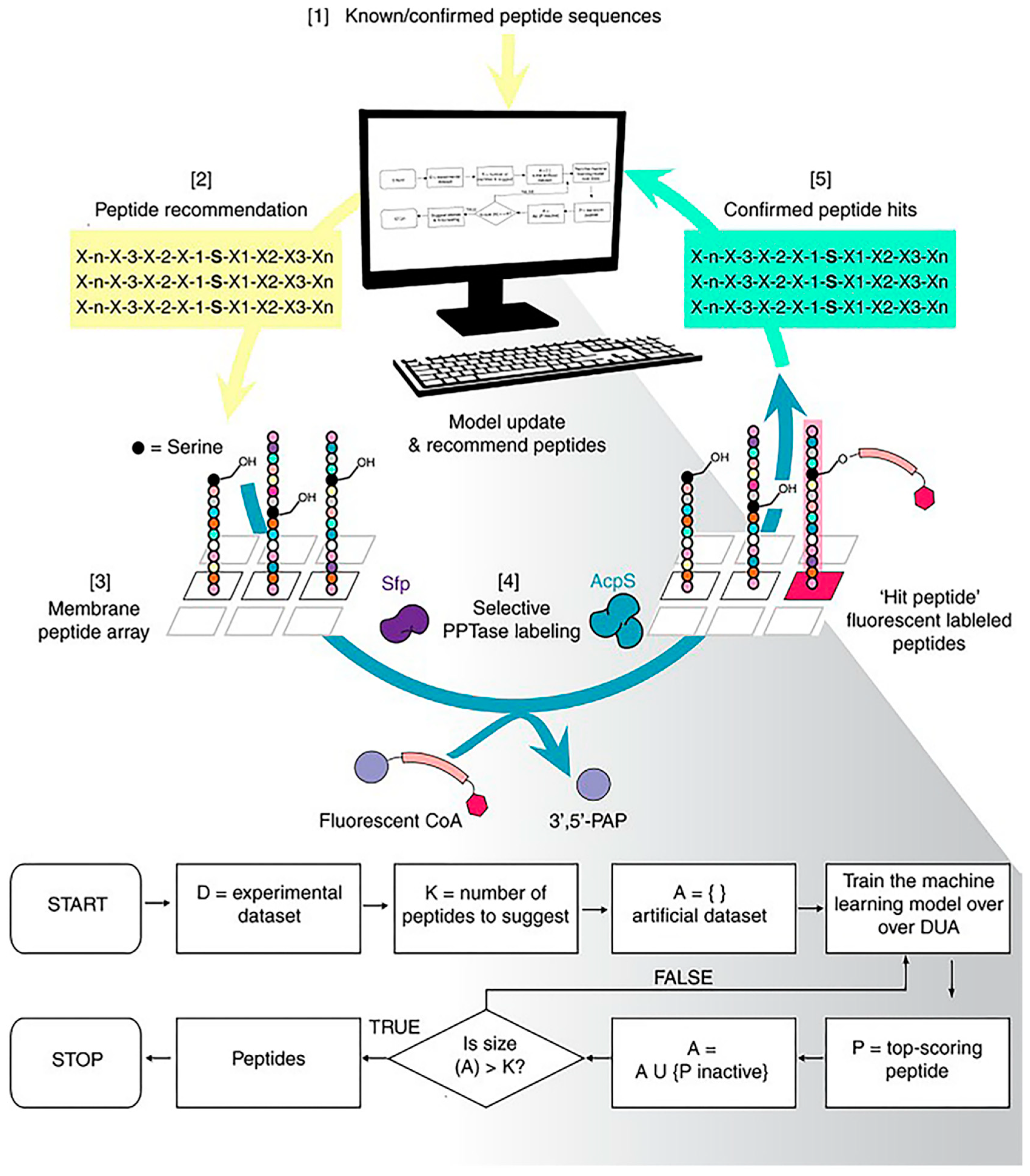 Molecules 26 00132 g008
