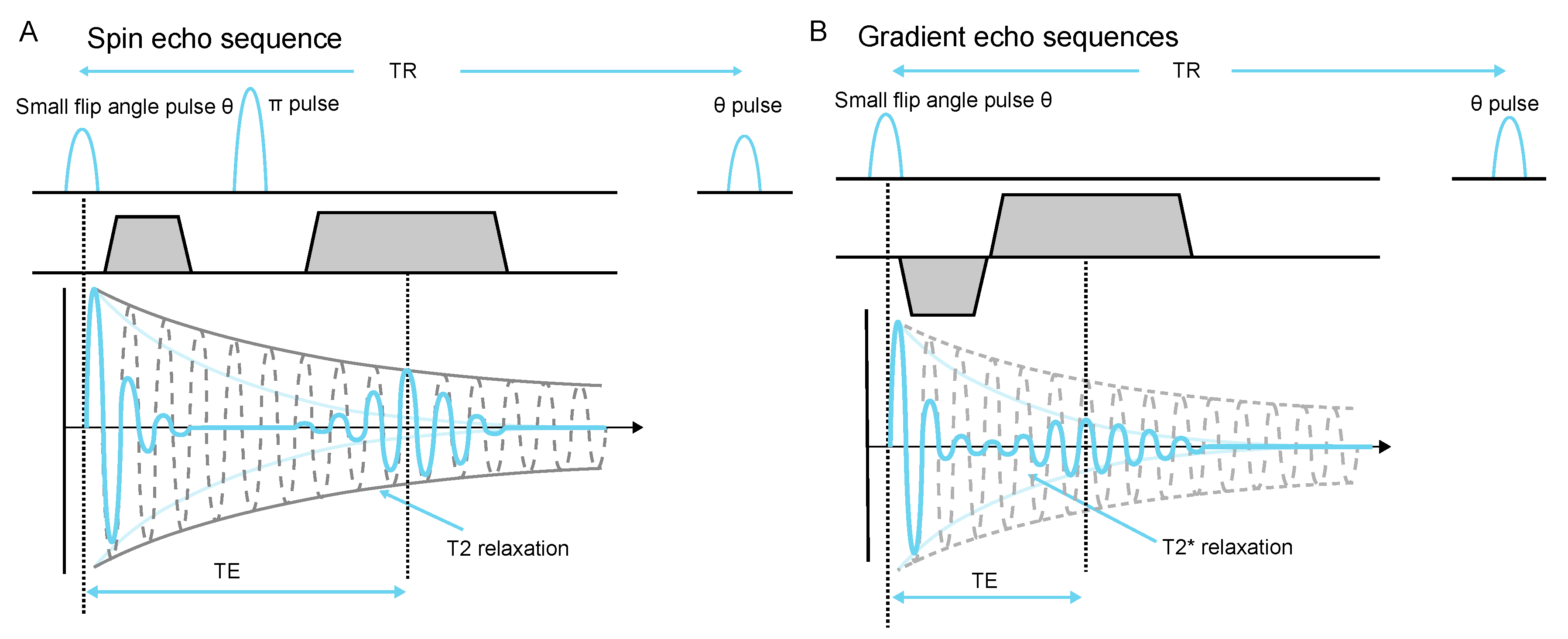 Molecules 26 00133 g004