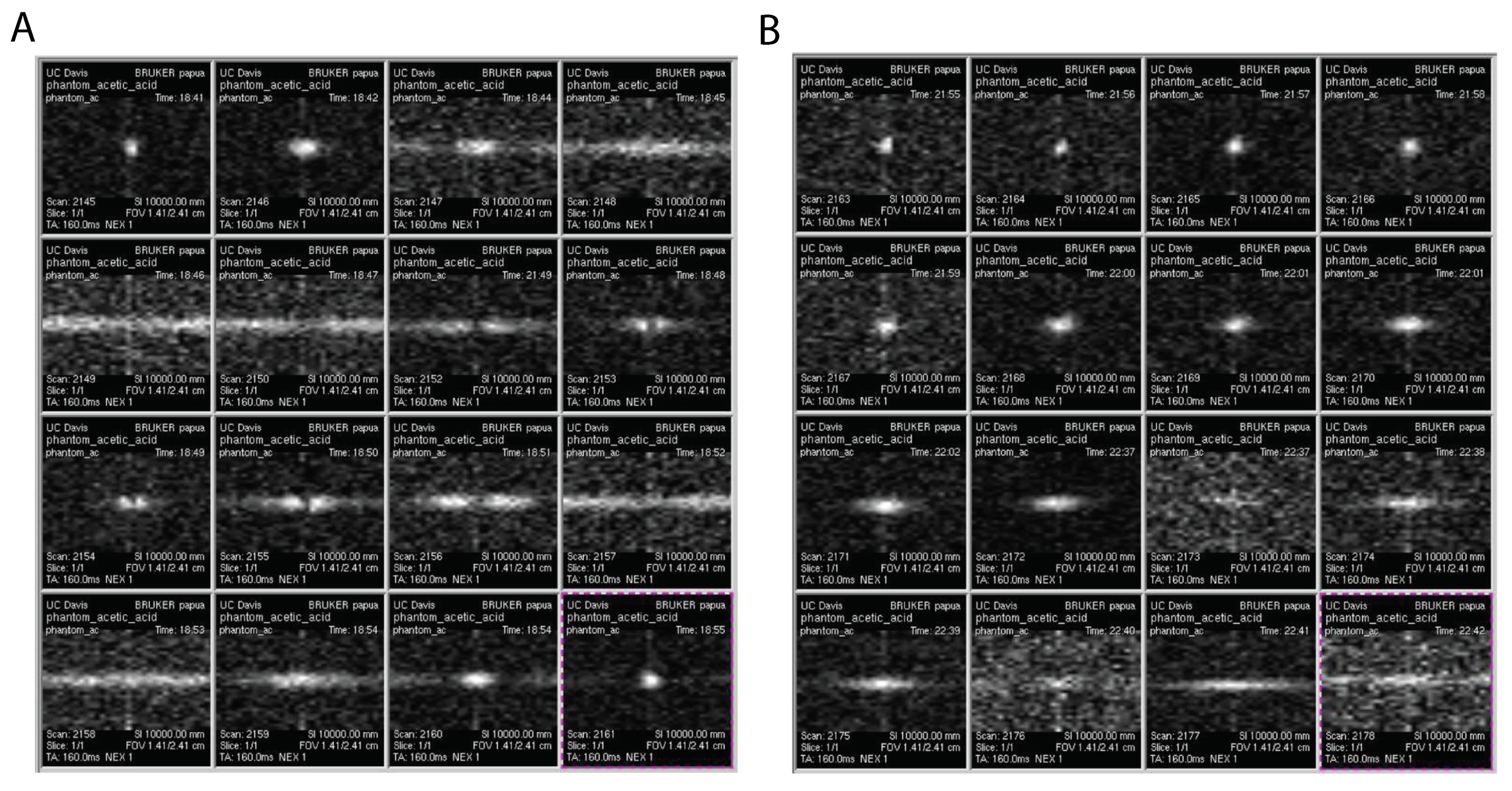 Molecules 26 00133 g005