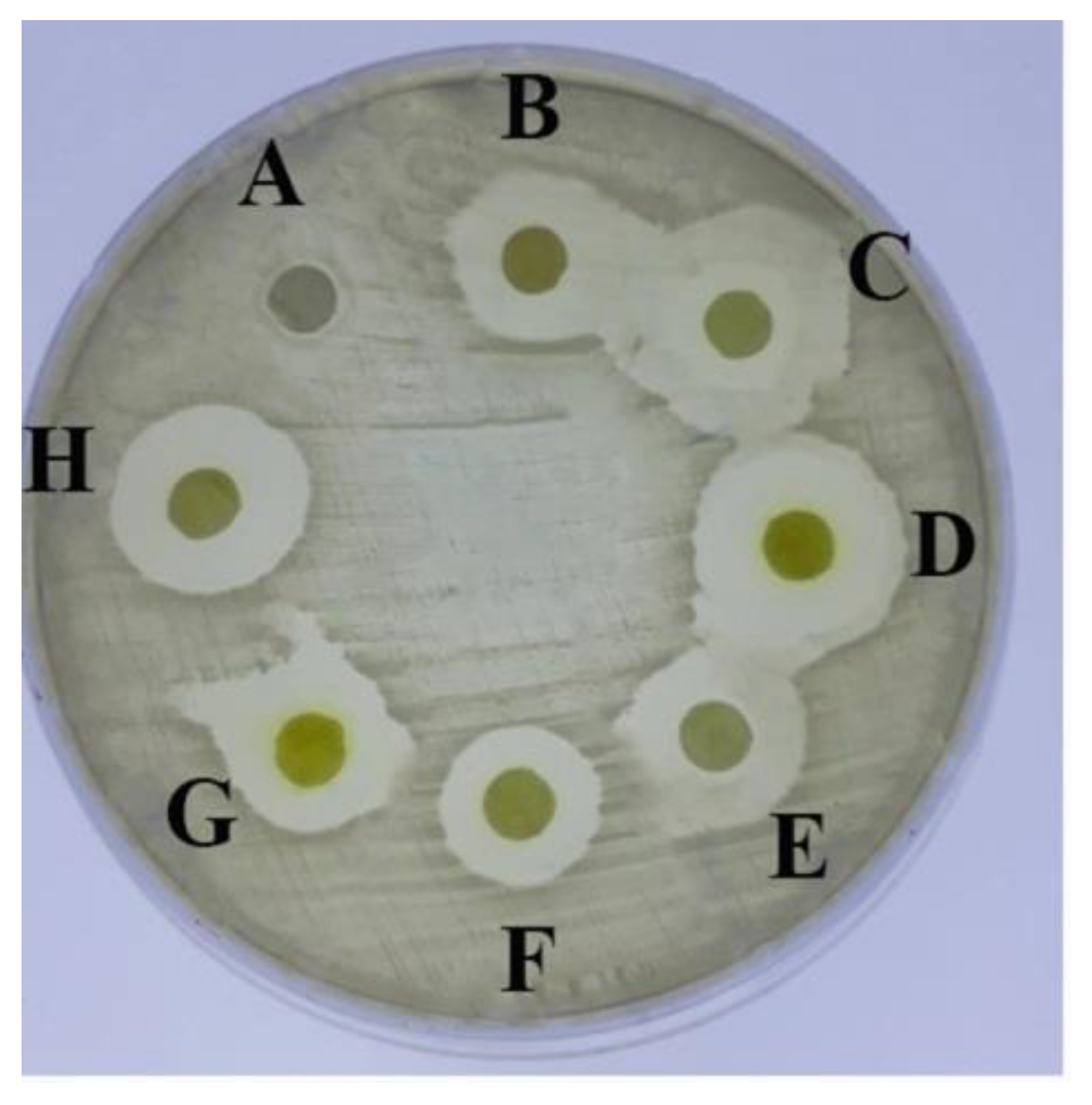 Molecules 26 00139 g002