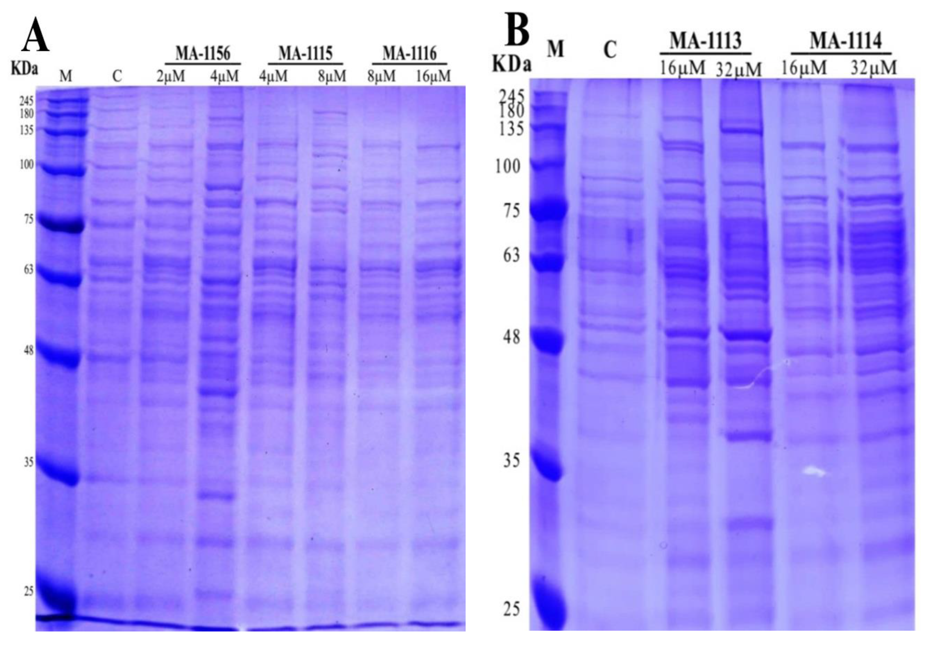 Molecules 26 00139 g004