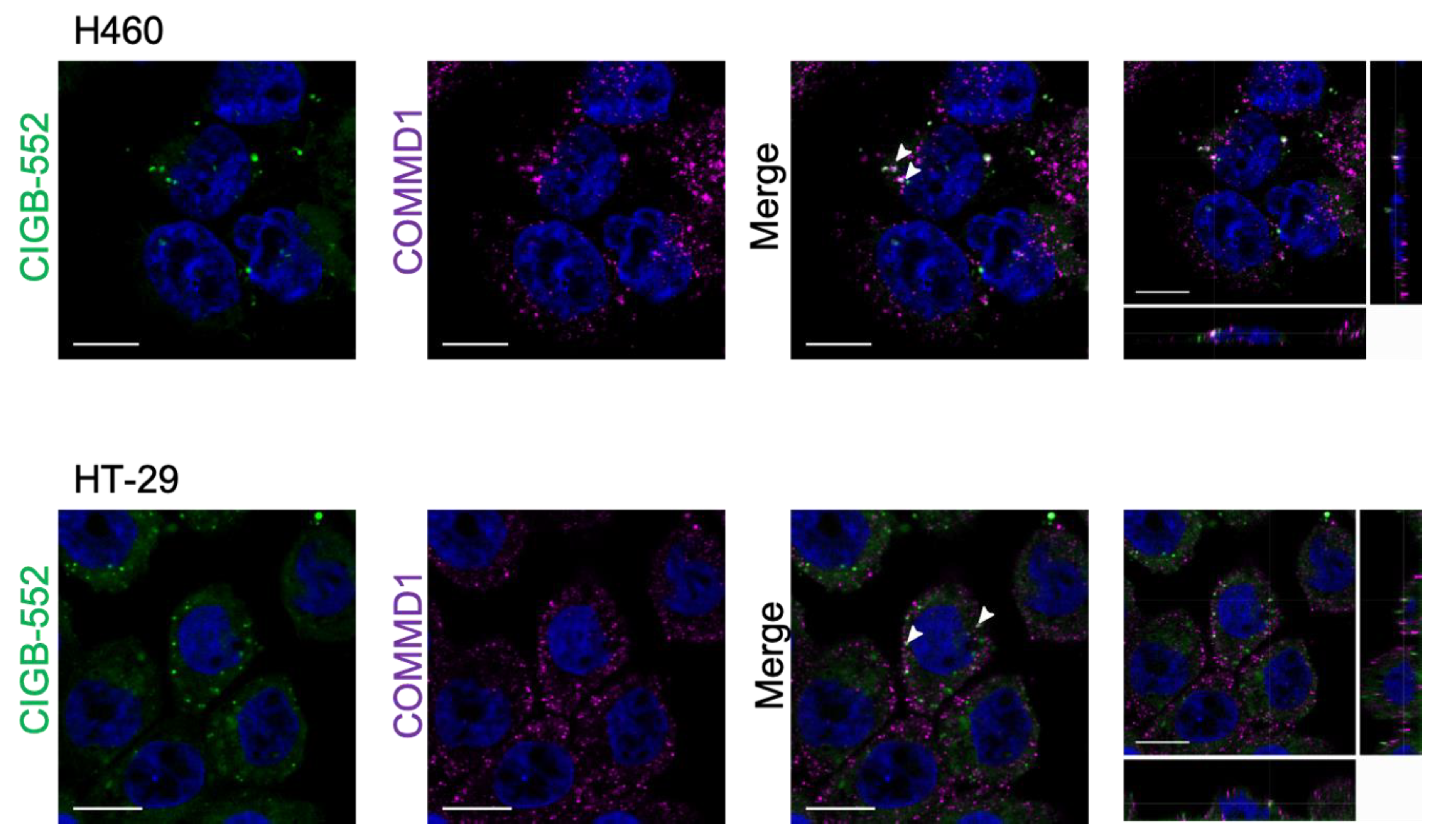Molecules 26 00152 g003