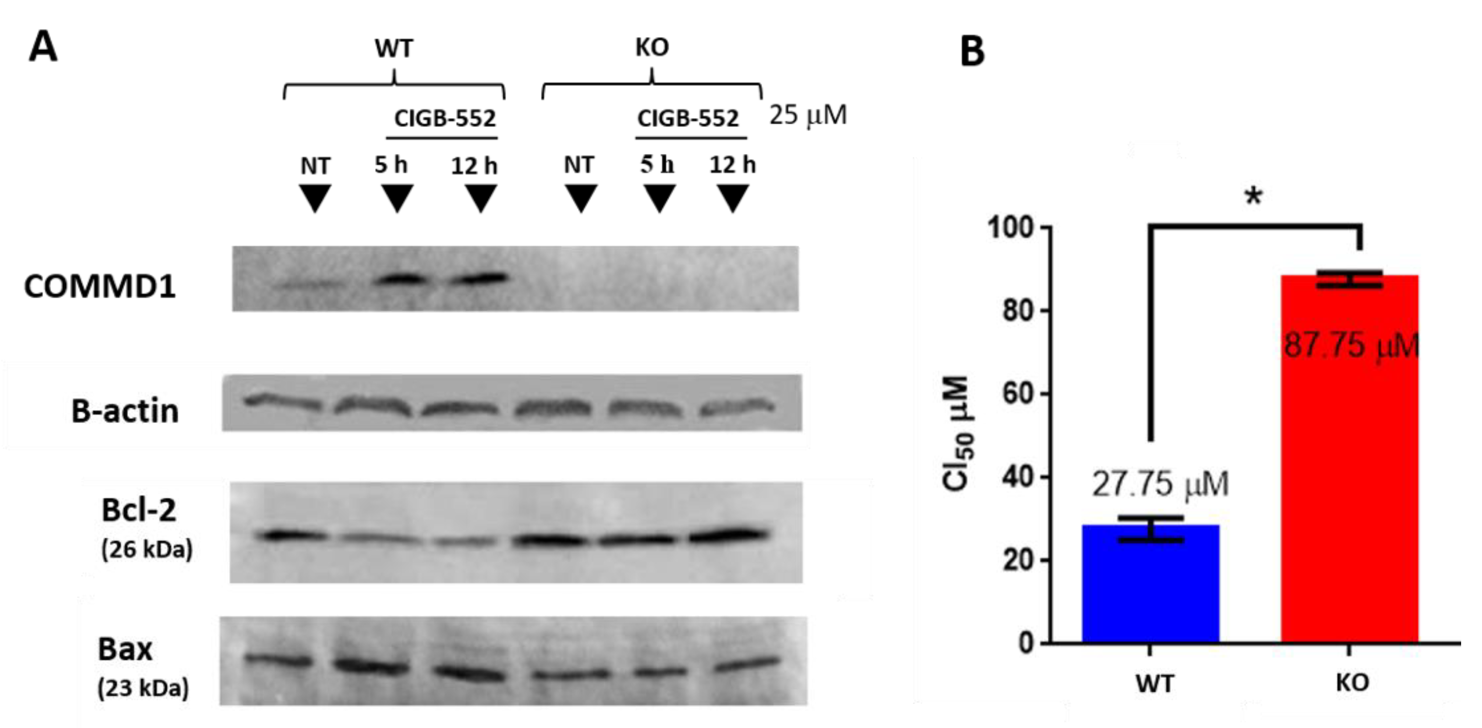 Molecules 26 00152 g004