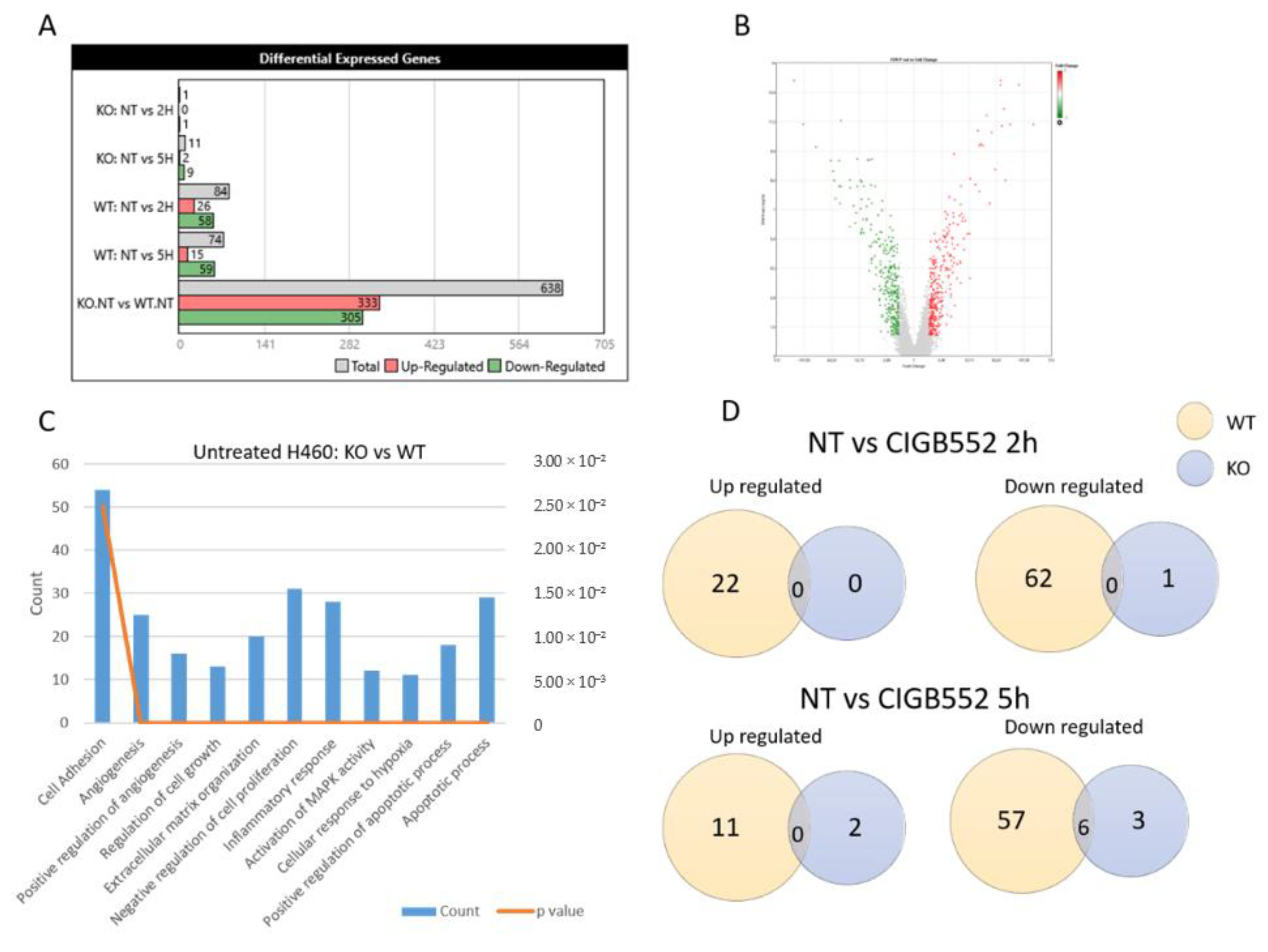 Molecules 26 00152 g005