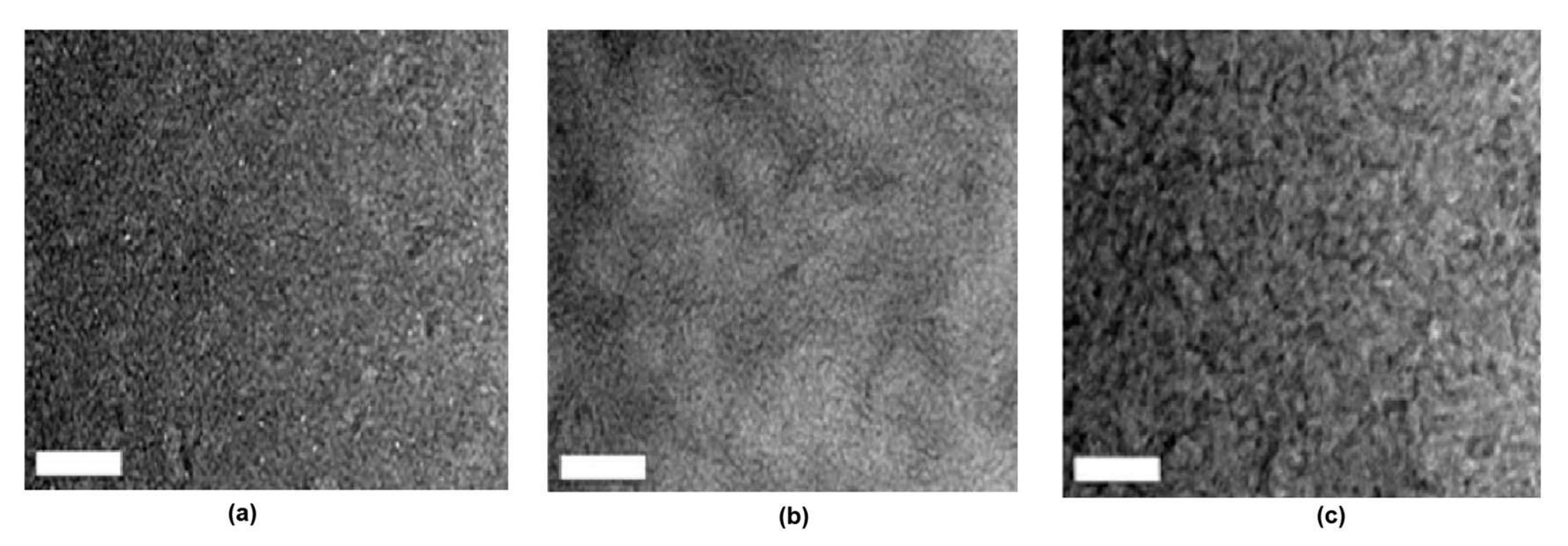 Molecules 26 00153 g003 Molecules 26 00153 g003
