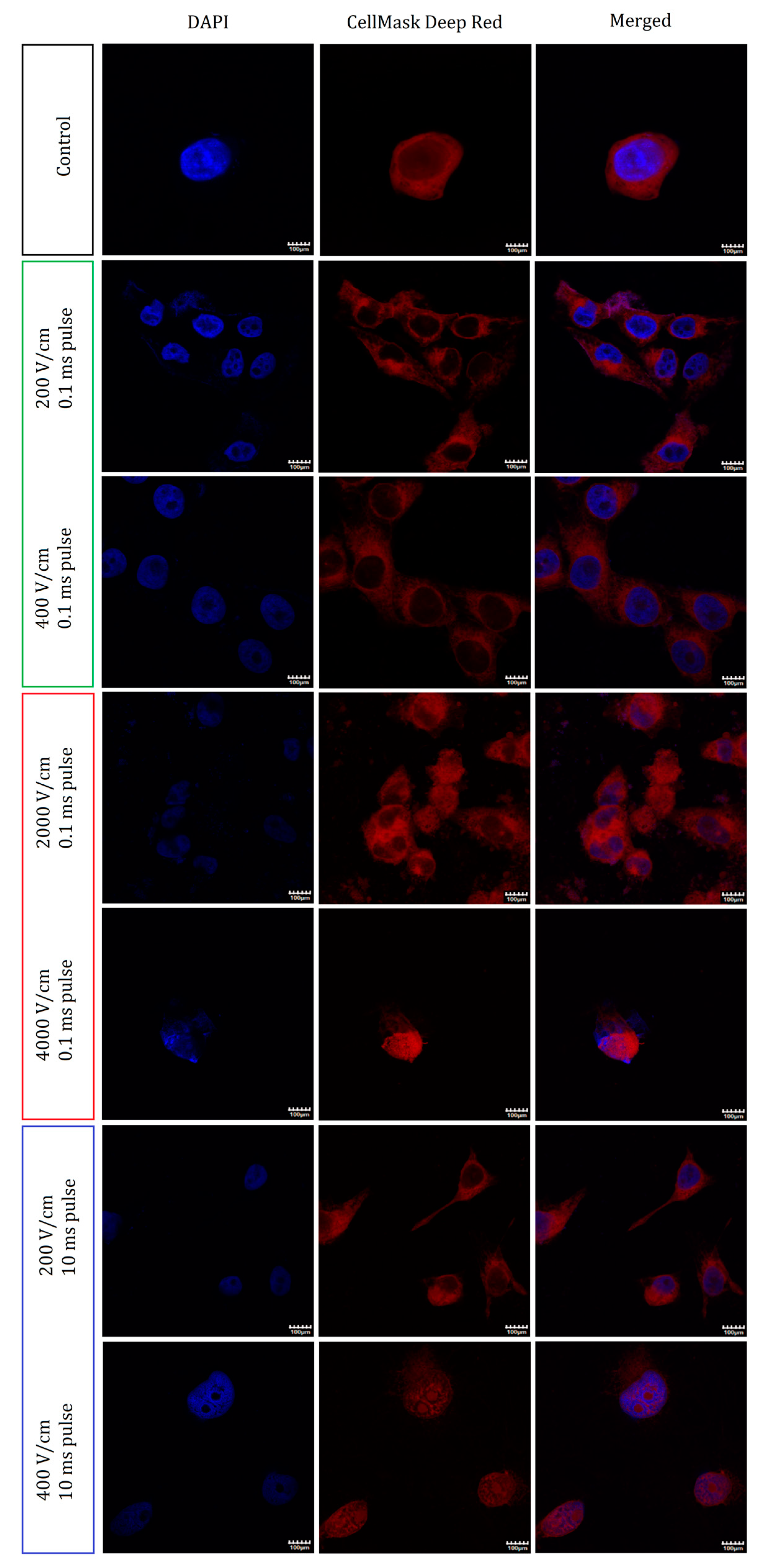 Molecules 26 00154 g004 Molecules 26 00154 g004