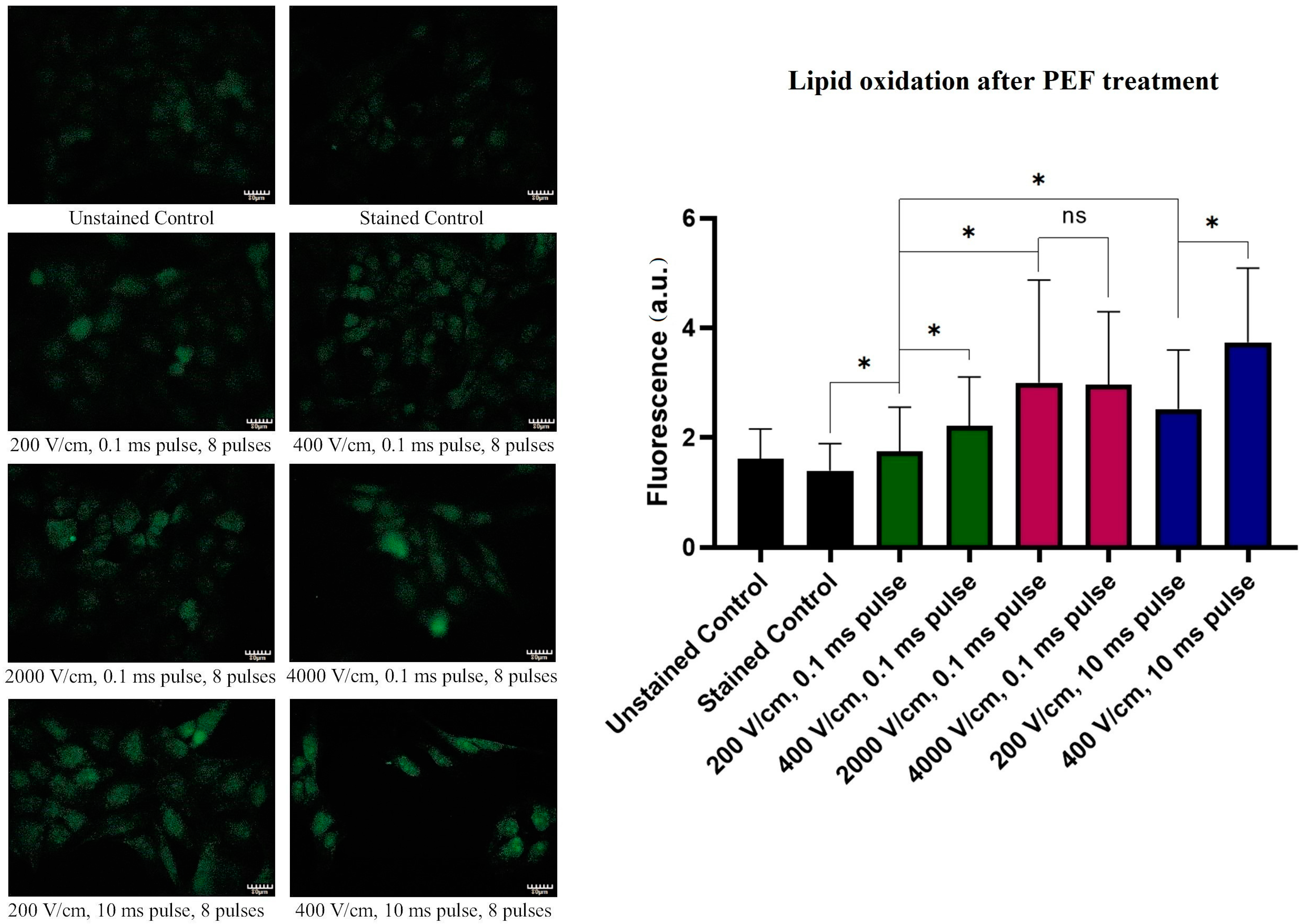 Molecules 26 00154 g007 Molecules 26 00154 g007