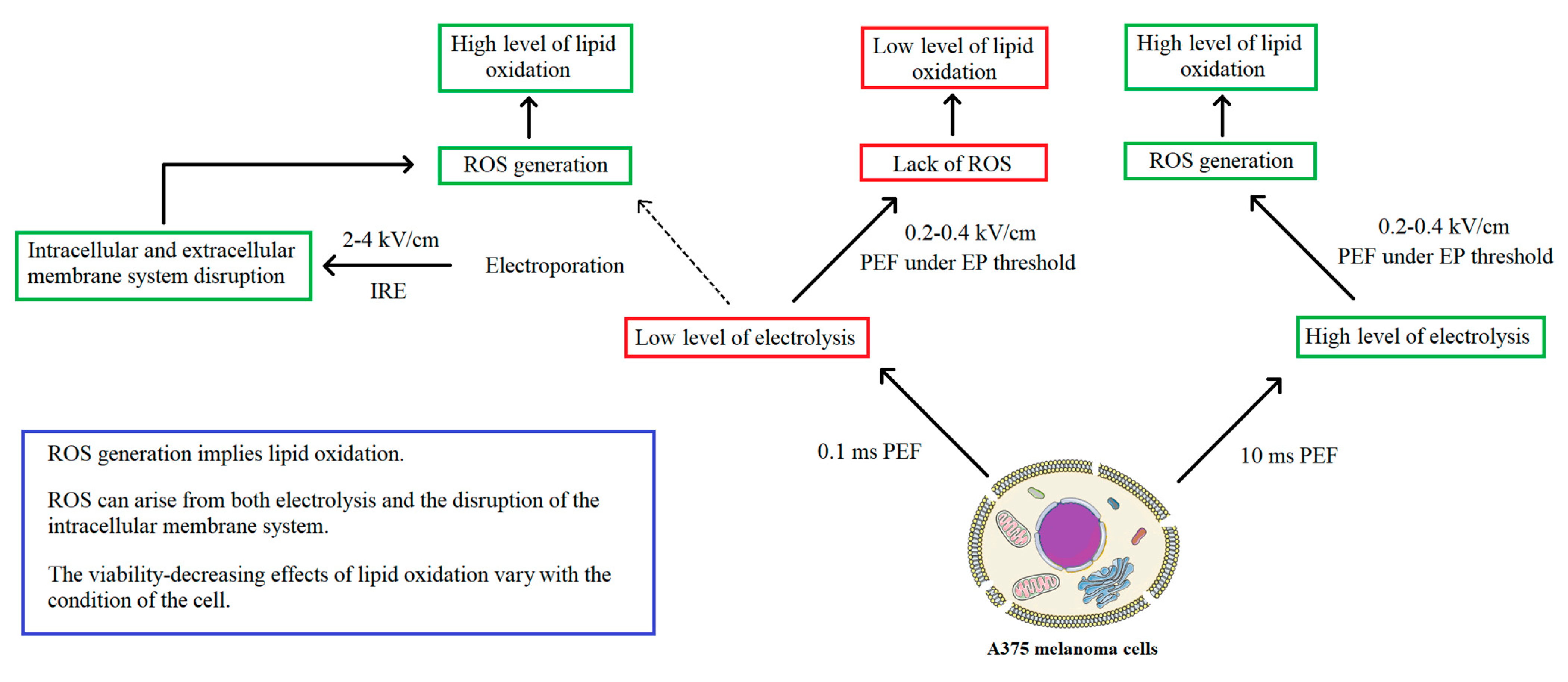Molecules 26 00154 g008 Molecules 26 00154 g008