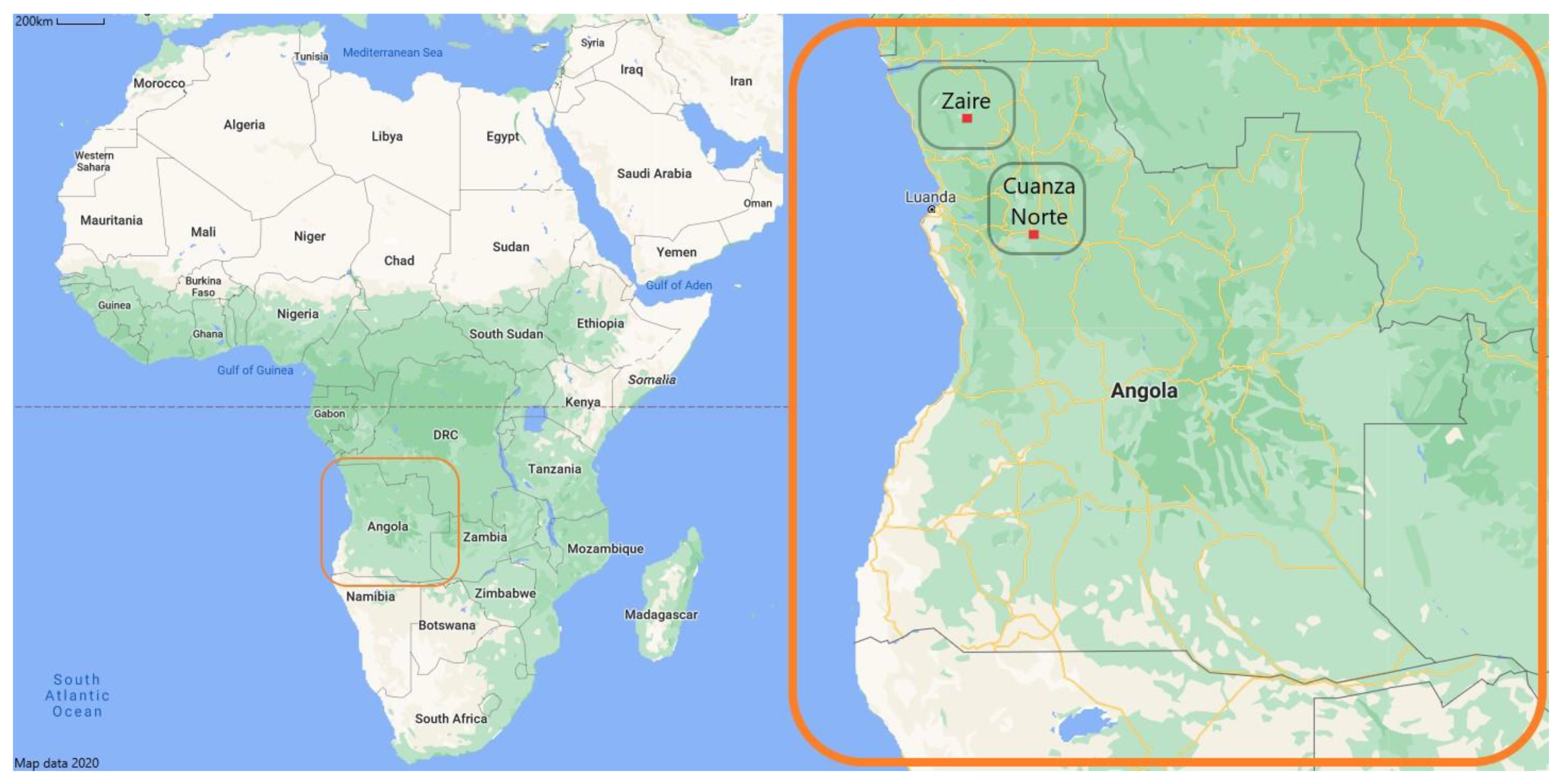 Molecules 26 00155 g001 Molecules 26 00155 g001