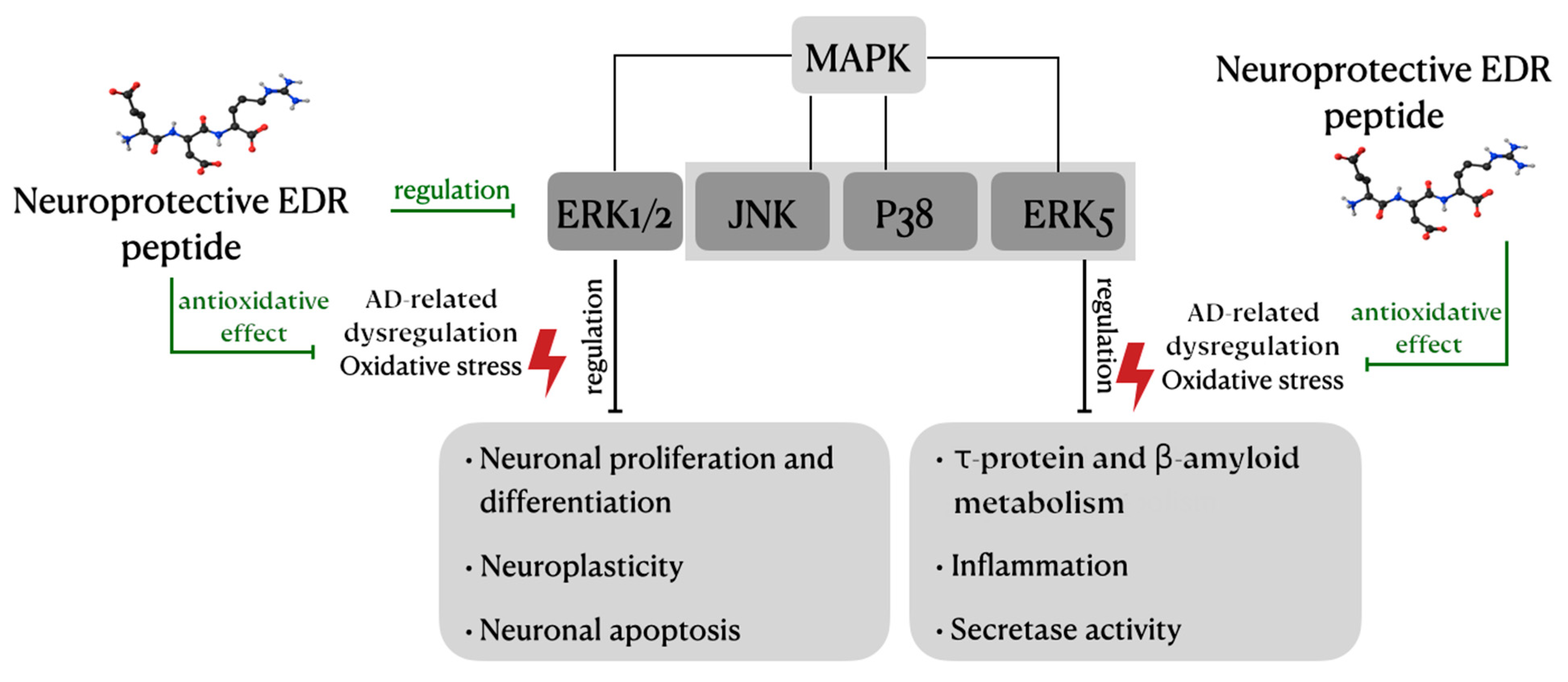 Molecules 26 00159 g002 Molecules 26 00159 g002
