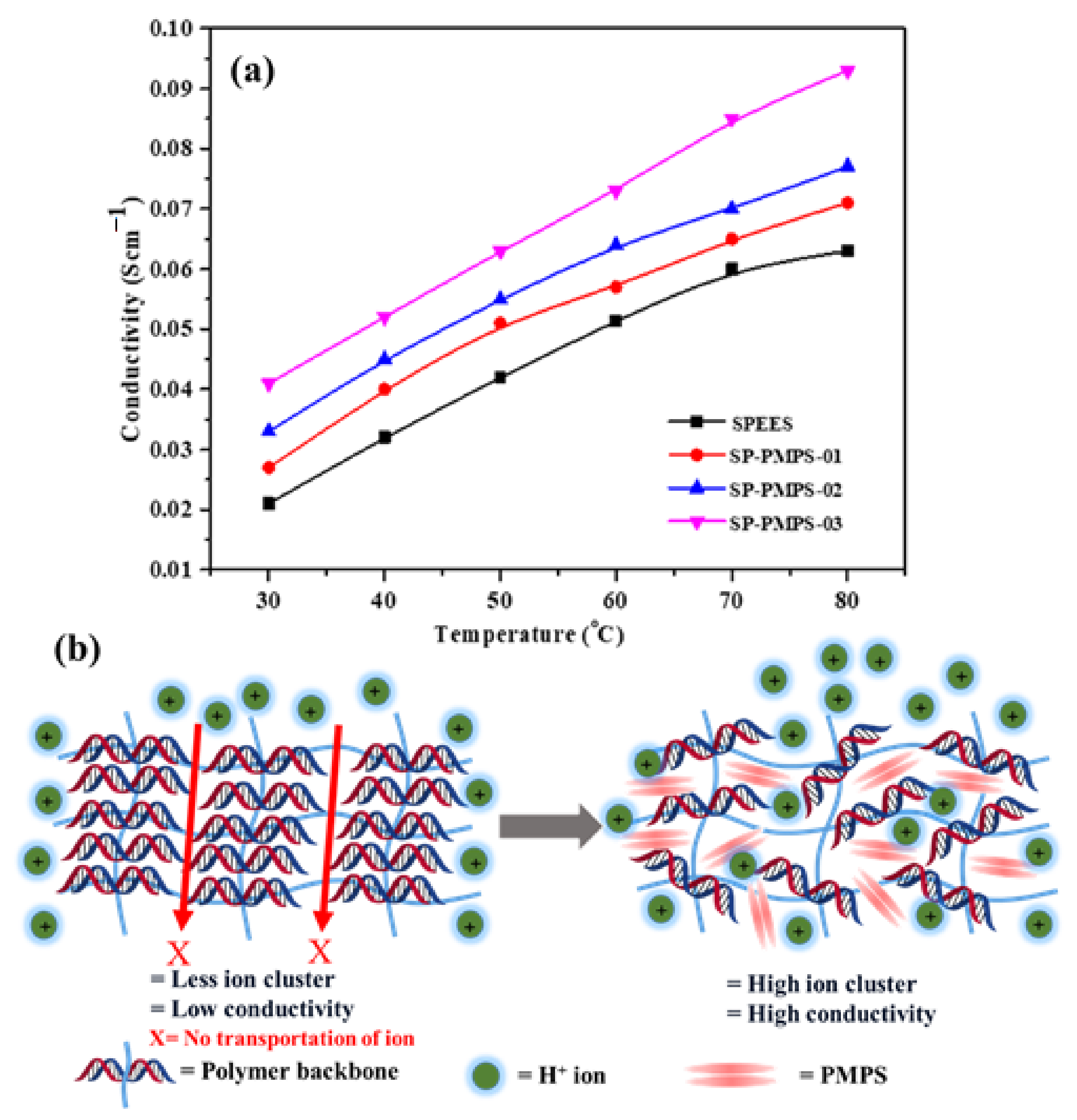 Molecules 26 00161 g004
