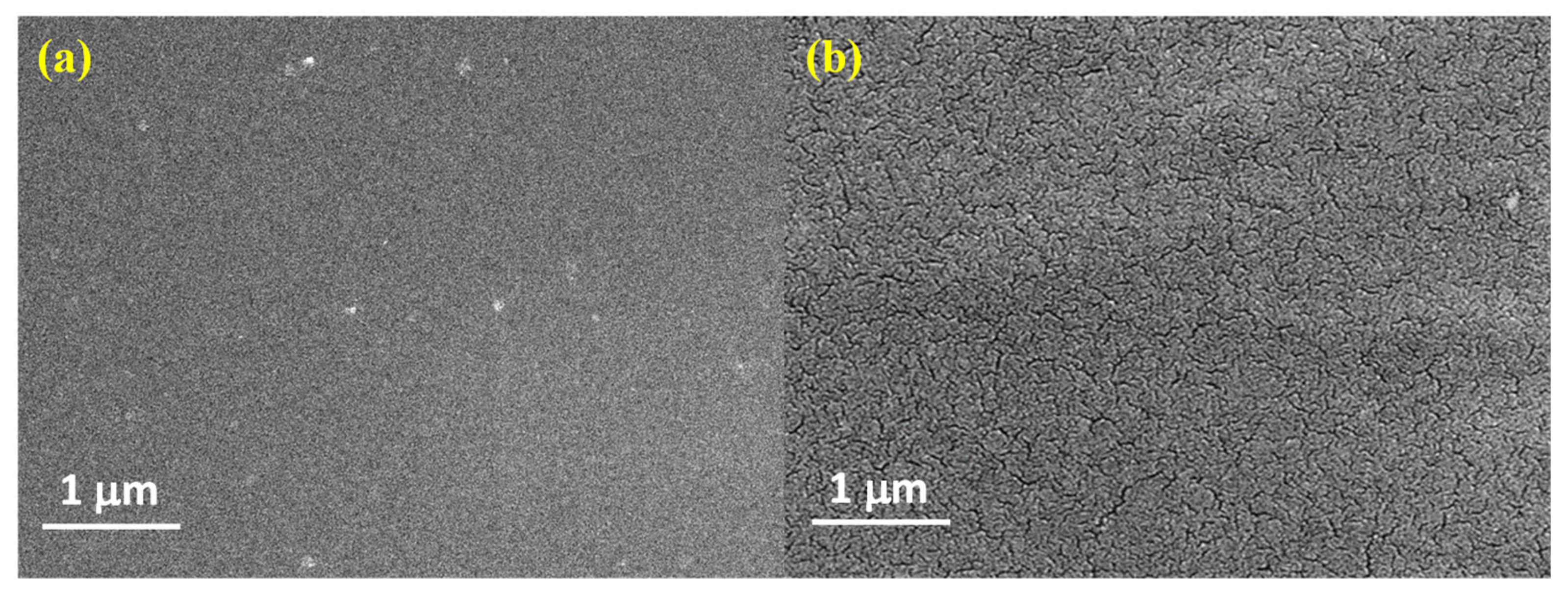 Molecules 26 00161 g005