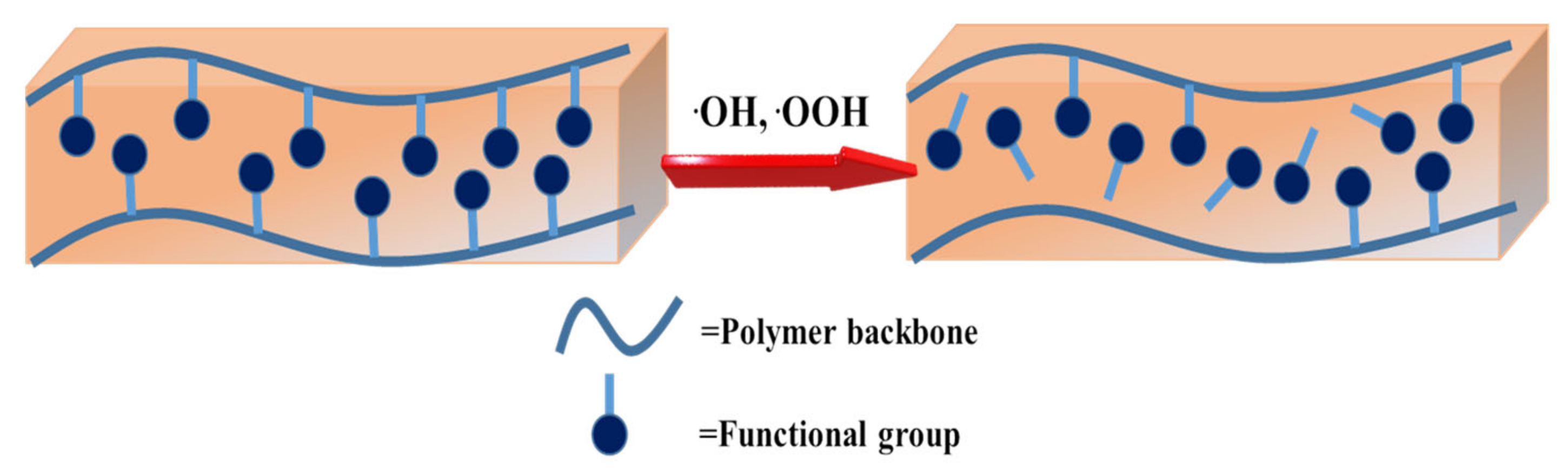 Molecules 26 00161 g008
