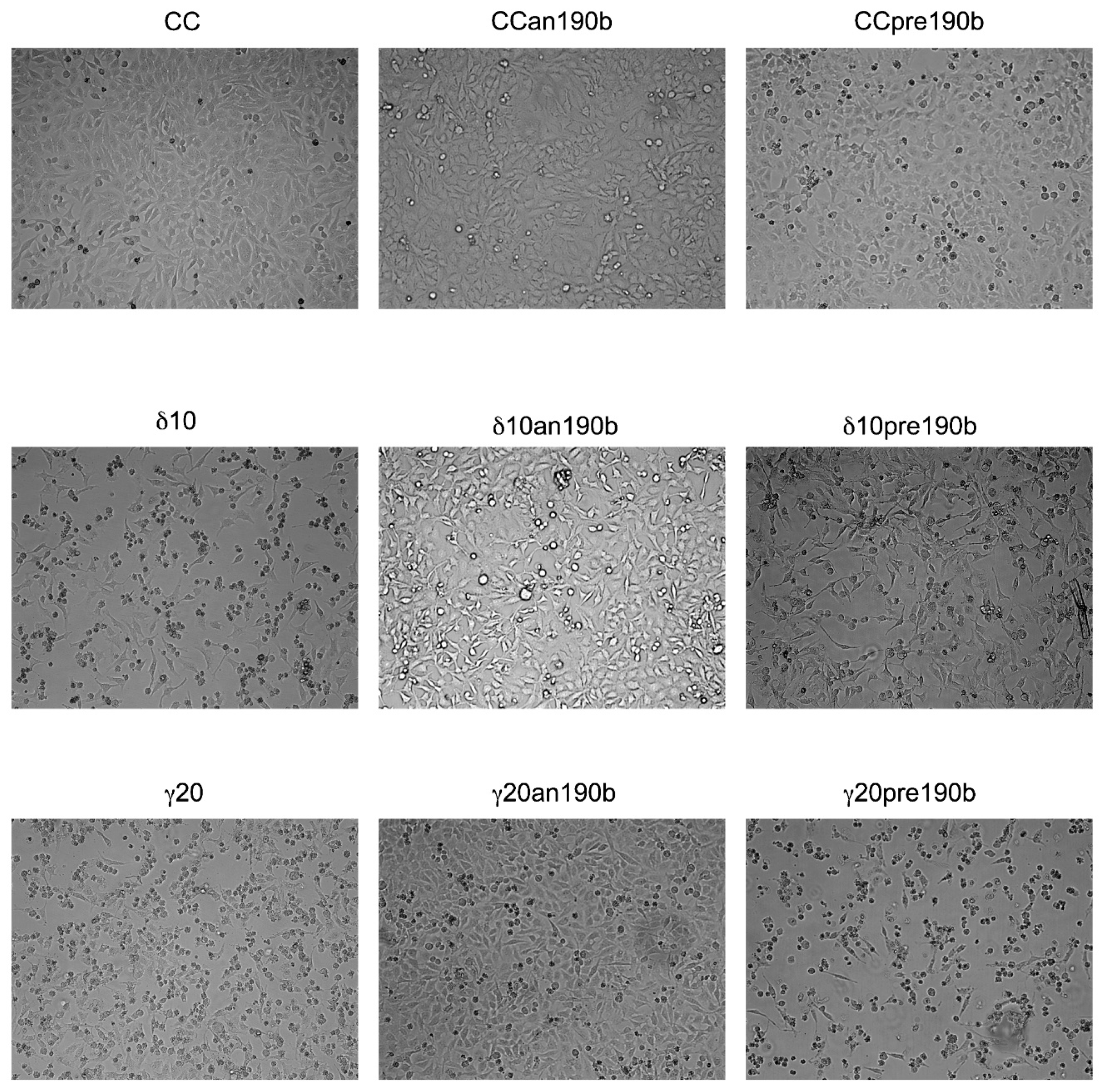 Molecules 26 00163 g003