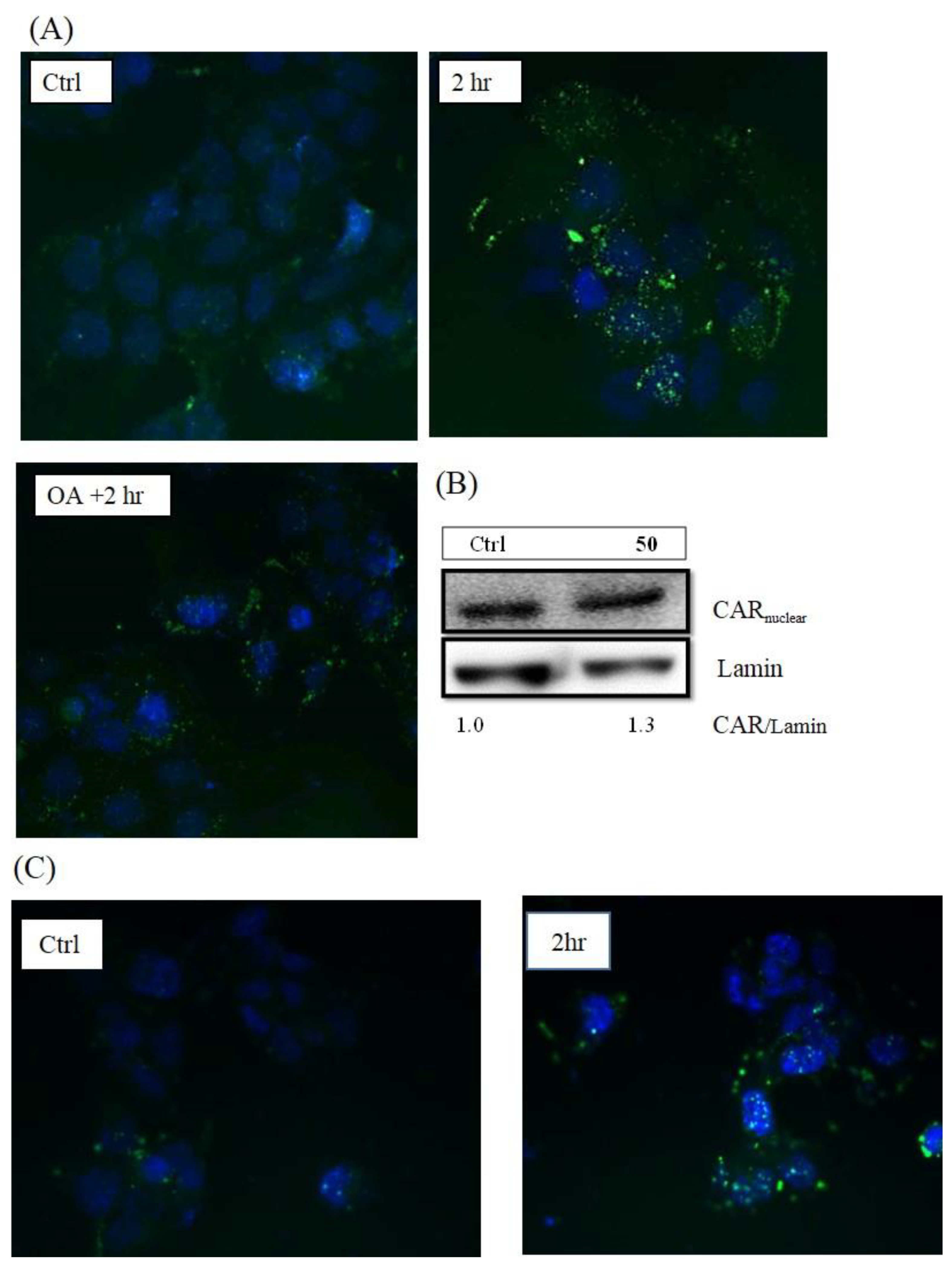 Molecules 26 00164 g003 Molecules 26 00164 g003