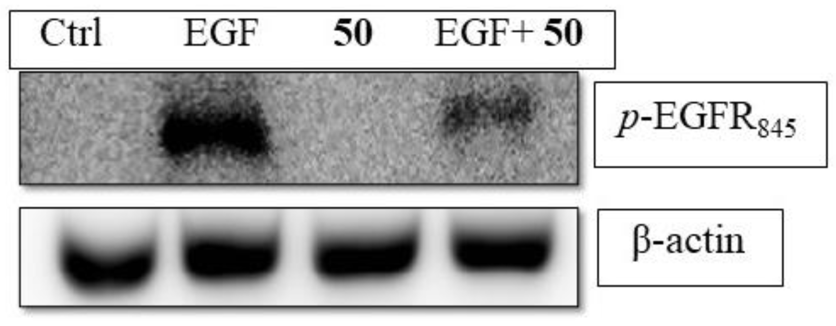 Molecules 26 00164 g004 Molecules 26 00164 g004