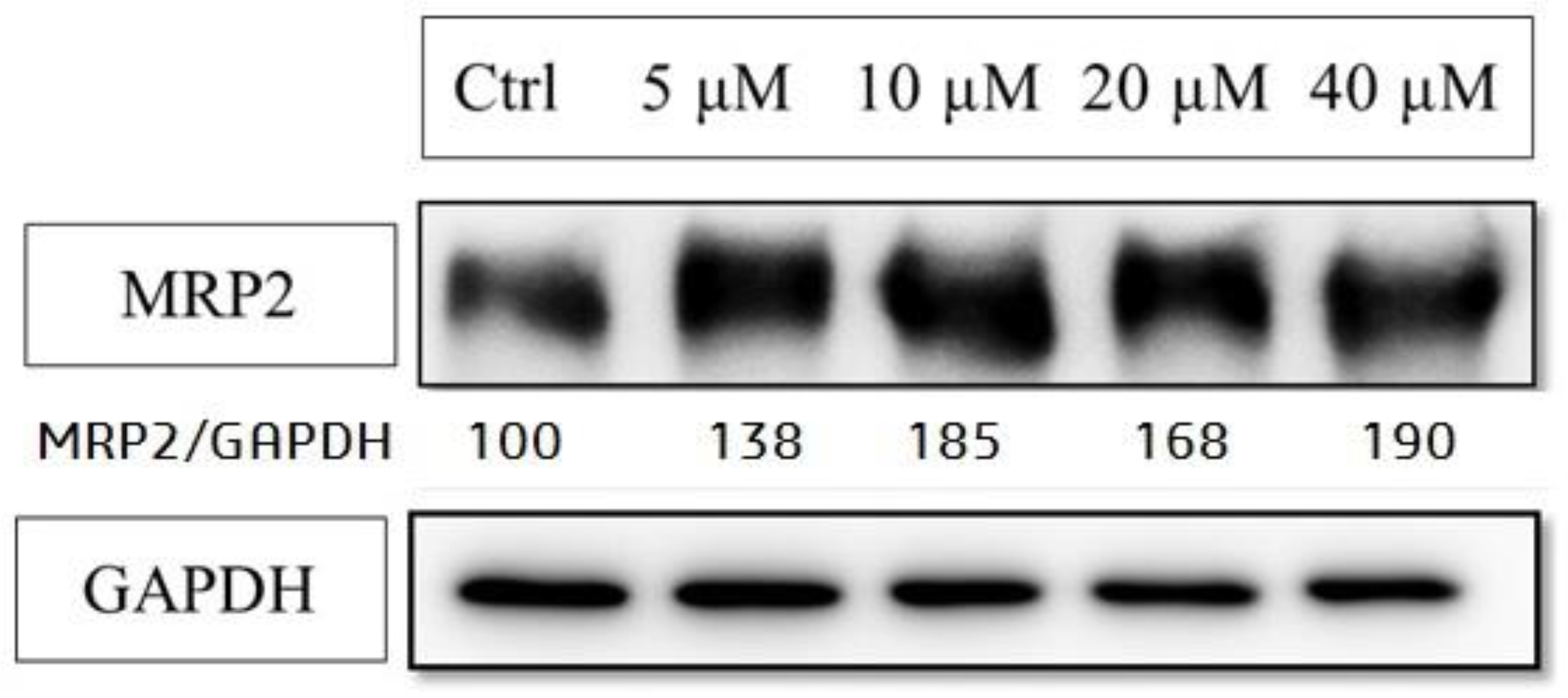 Molecules 26 00164 g007 Molecules 26 00164 g007