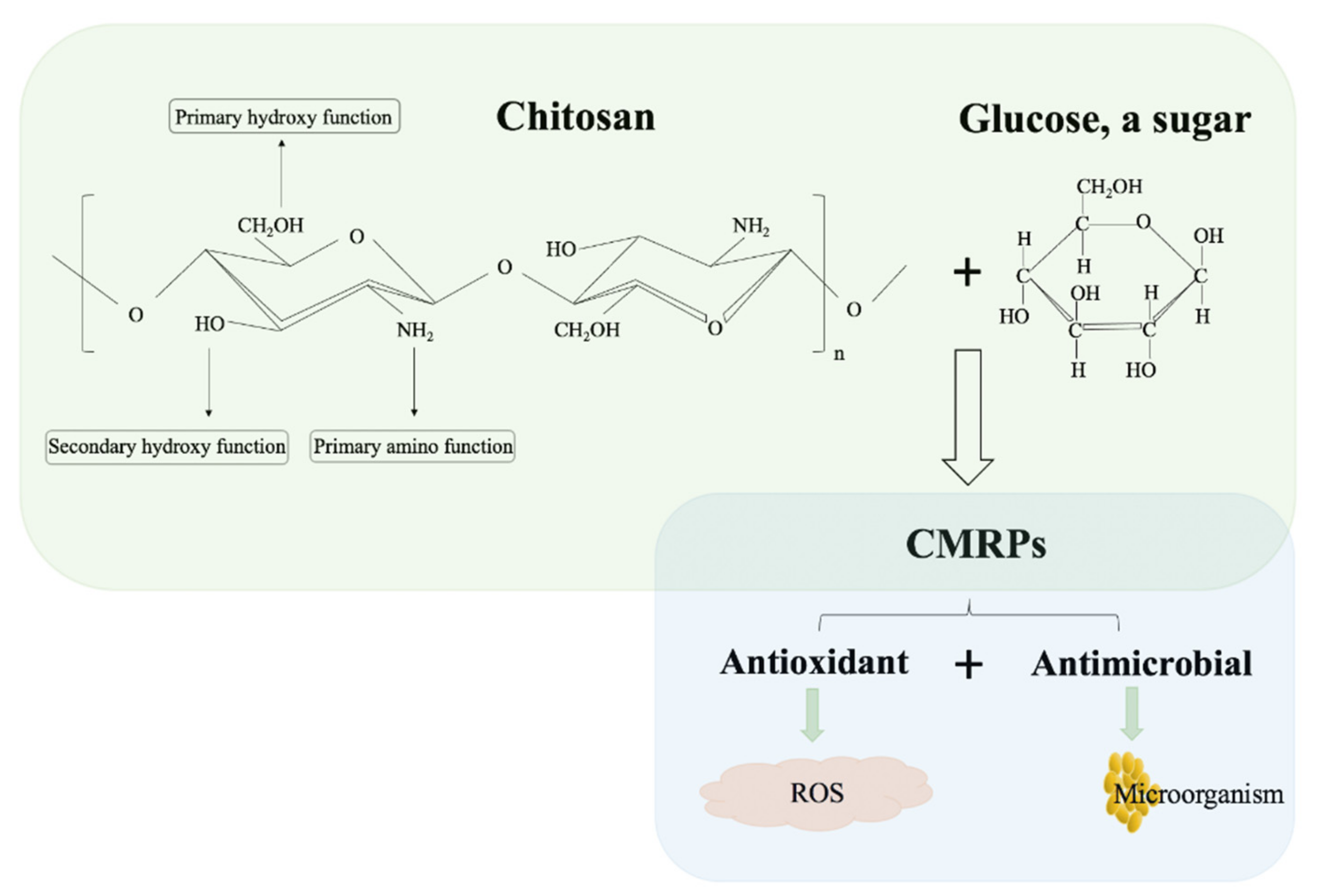 Molecules 26 00166 g001