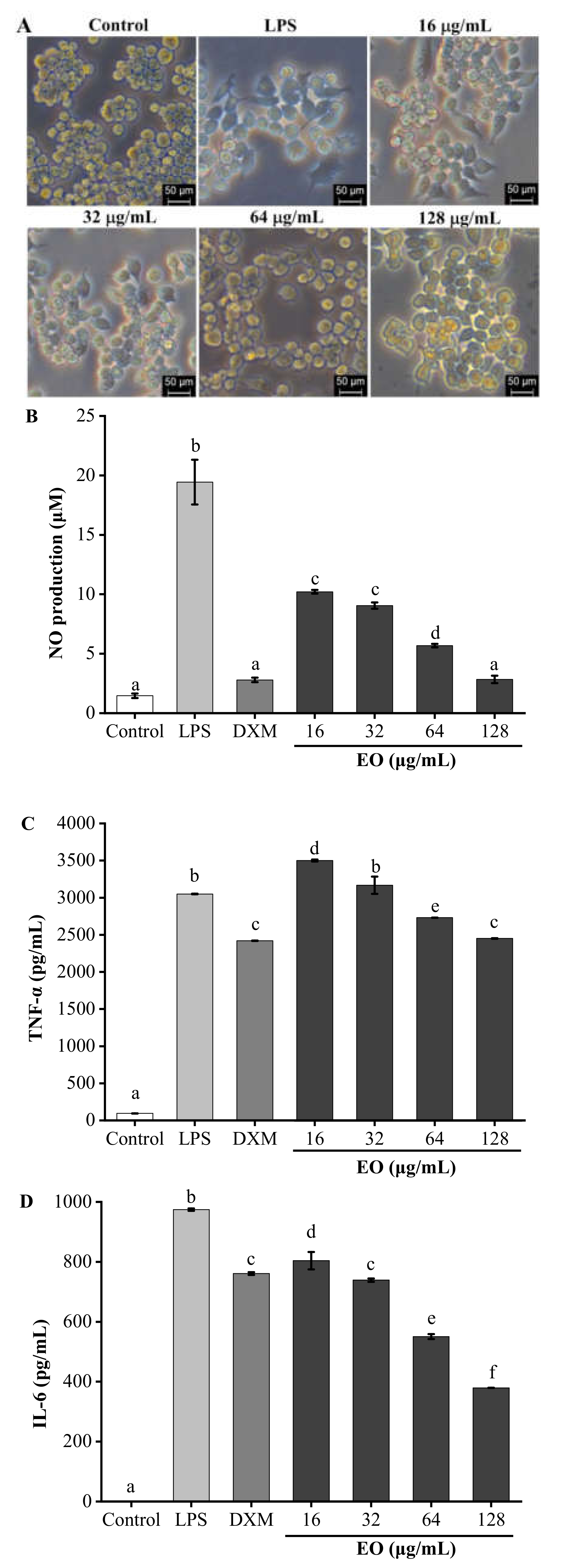 Molecules 26 00167 g003 Molecules 26 00167 g003