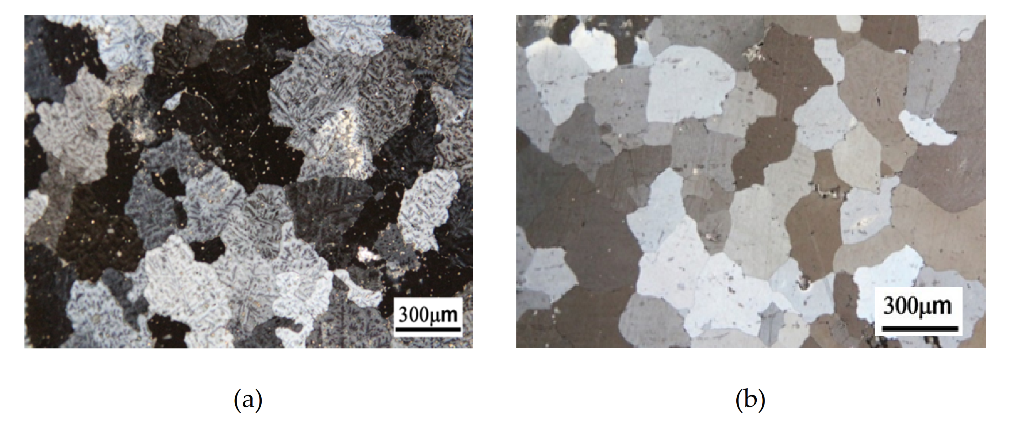 Molecules 26 00168 g001a