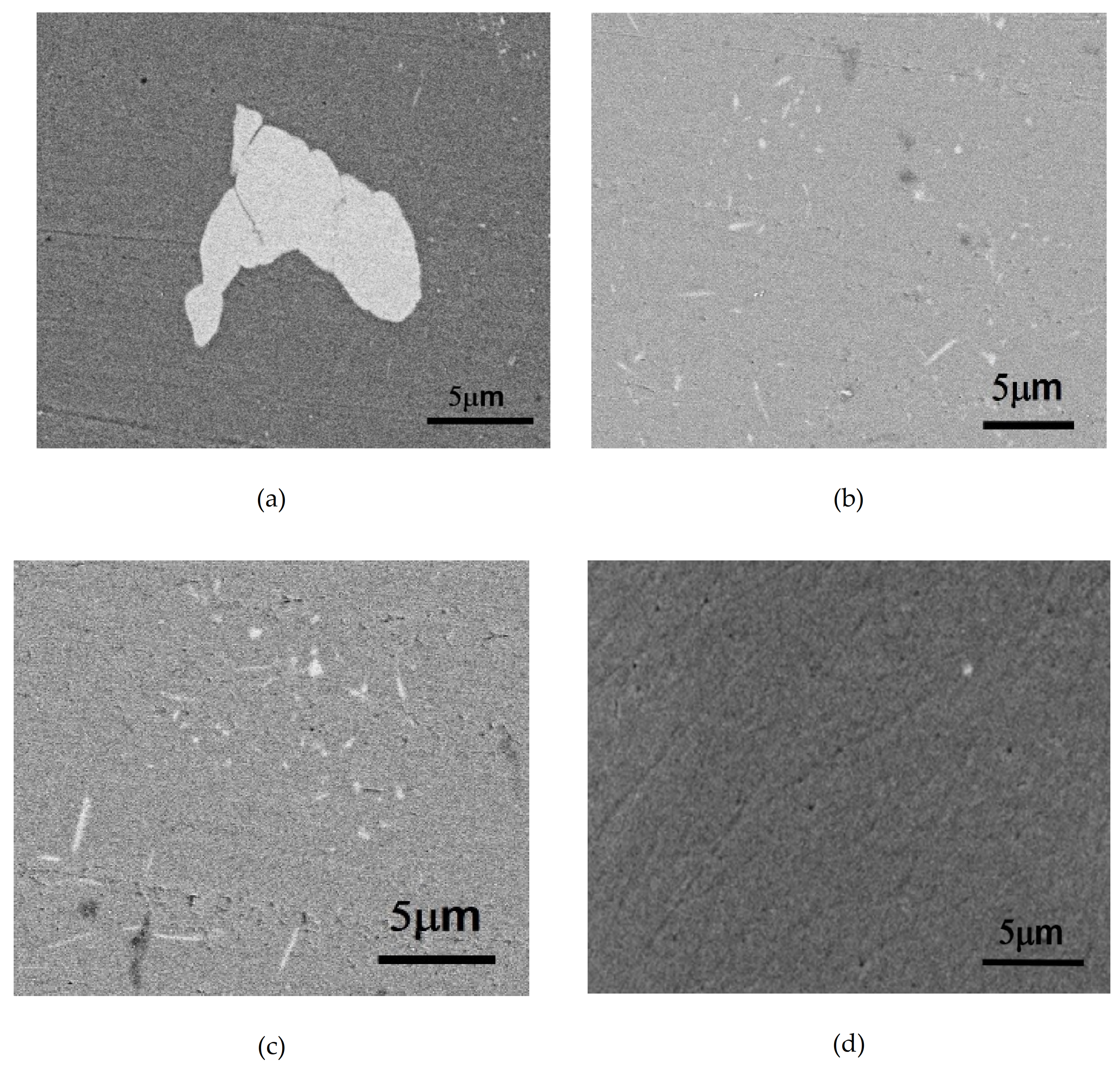 Molecules 26 00168 g002