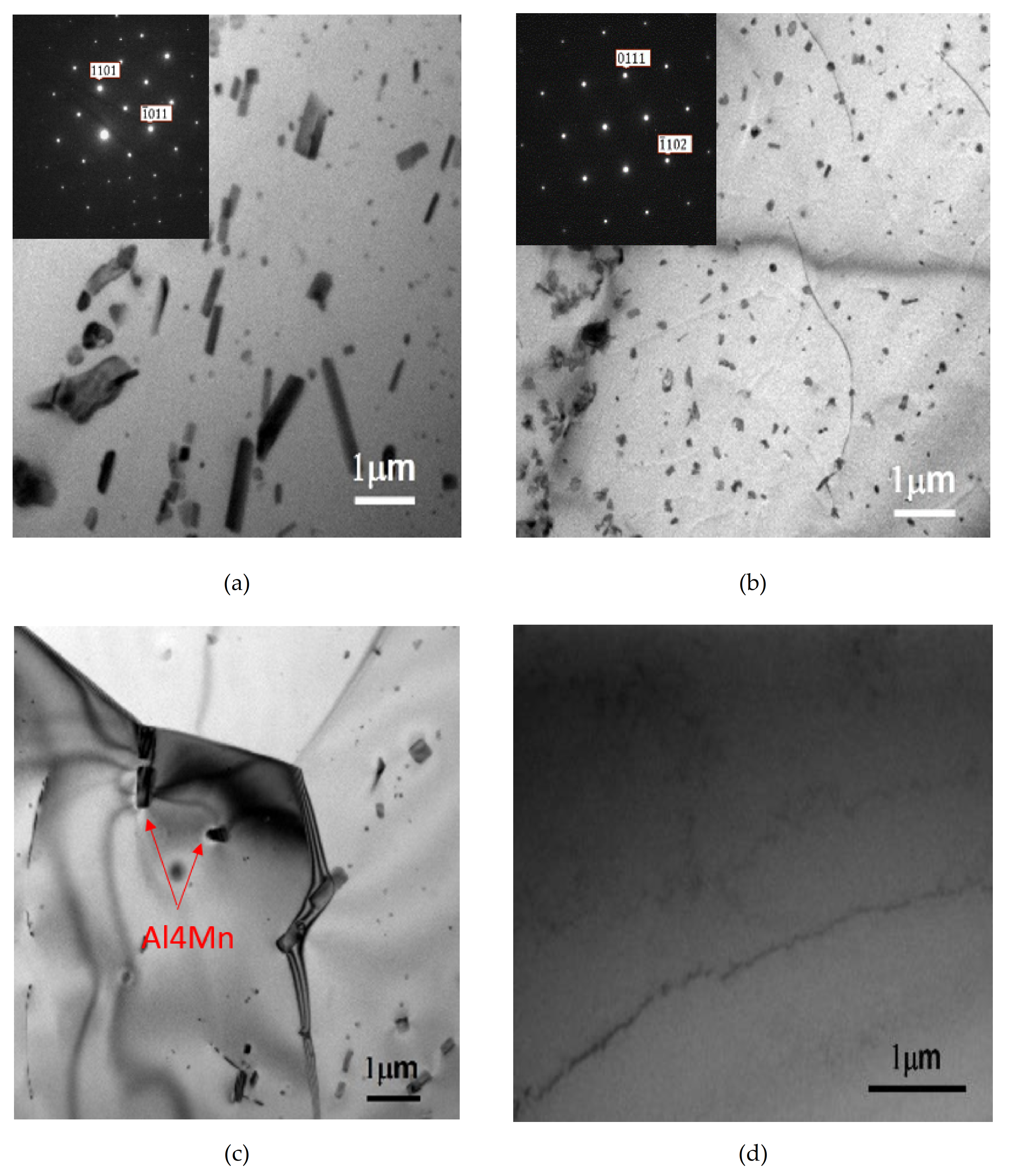 Molecules 26 00168 g003